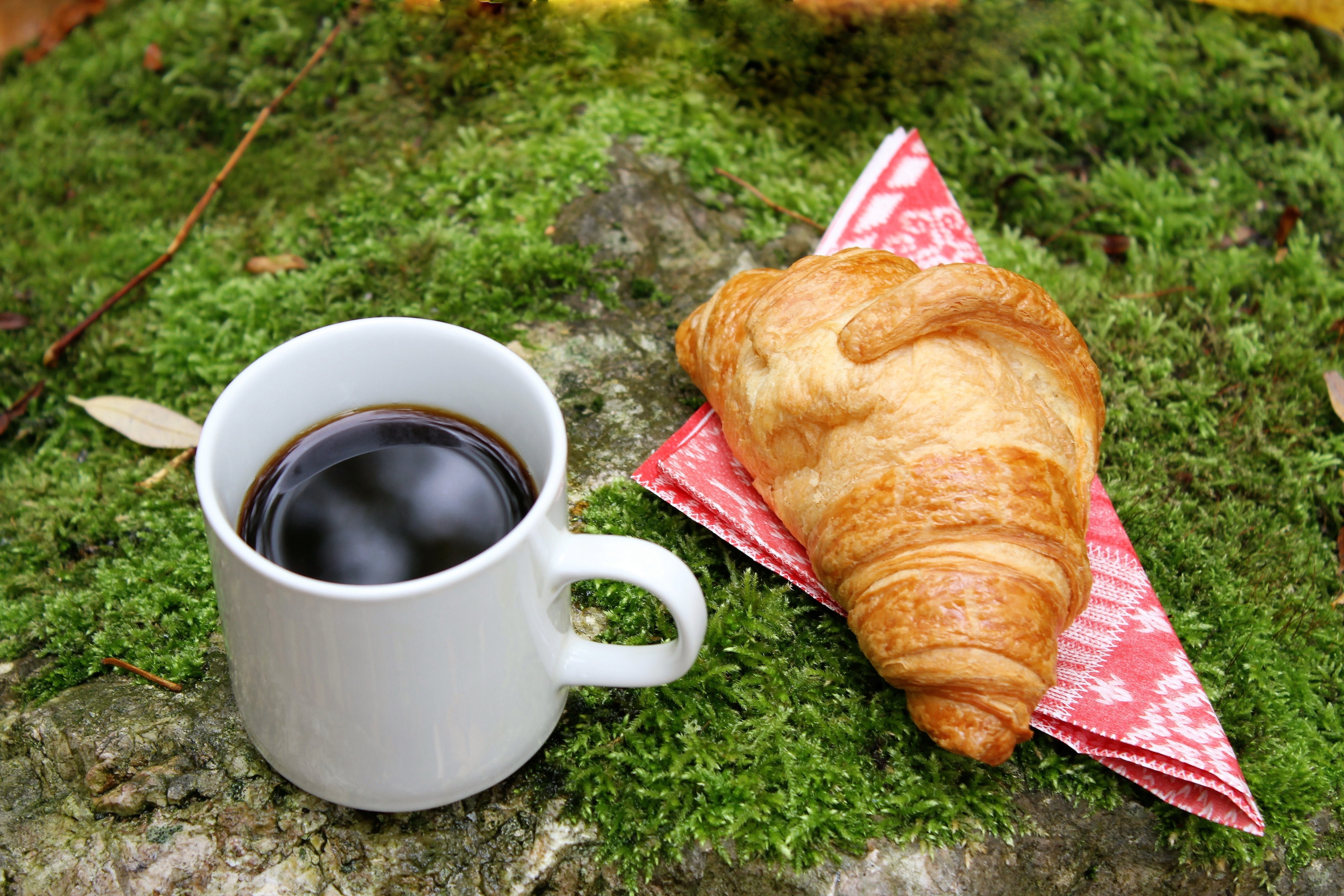 breakfast, drink, mug, coffee, pastries, benefit from, refreshment, autumn day, rest, snack, october, coffee break, french food, breakfast in nature, enjoy, HD Wallpaper