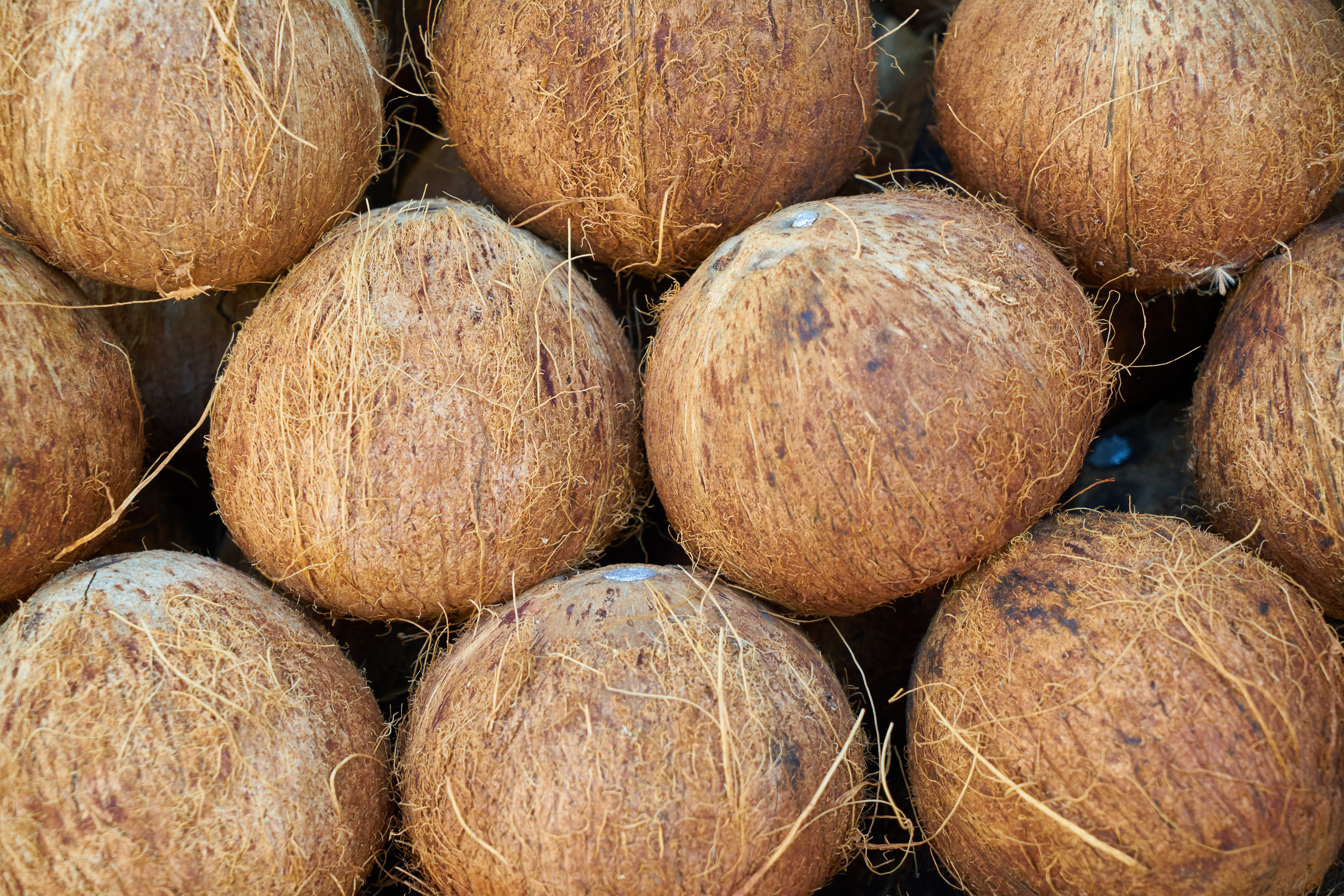 vegetarian, organic, food, healthy, asian, health, hazelnut, coconut, sunday, backgrounds, tropical, wellbeing, large group of objects, full frame, natural, HD Wallpaper