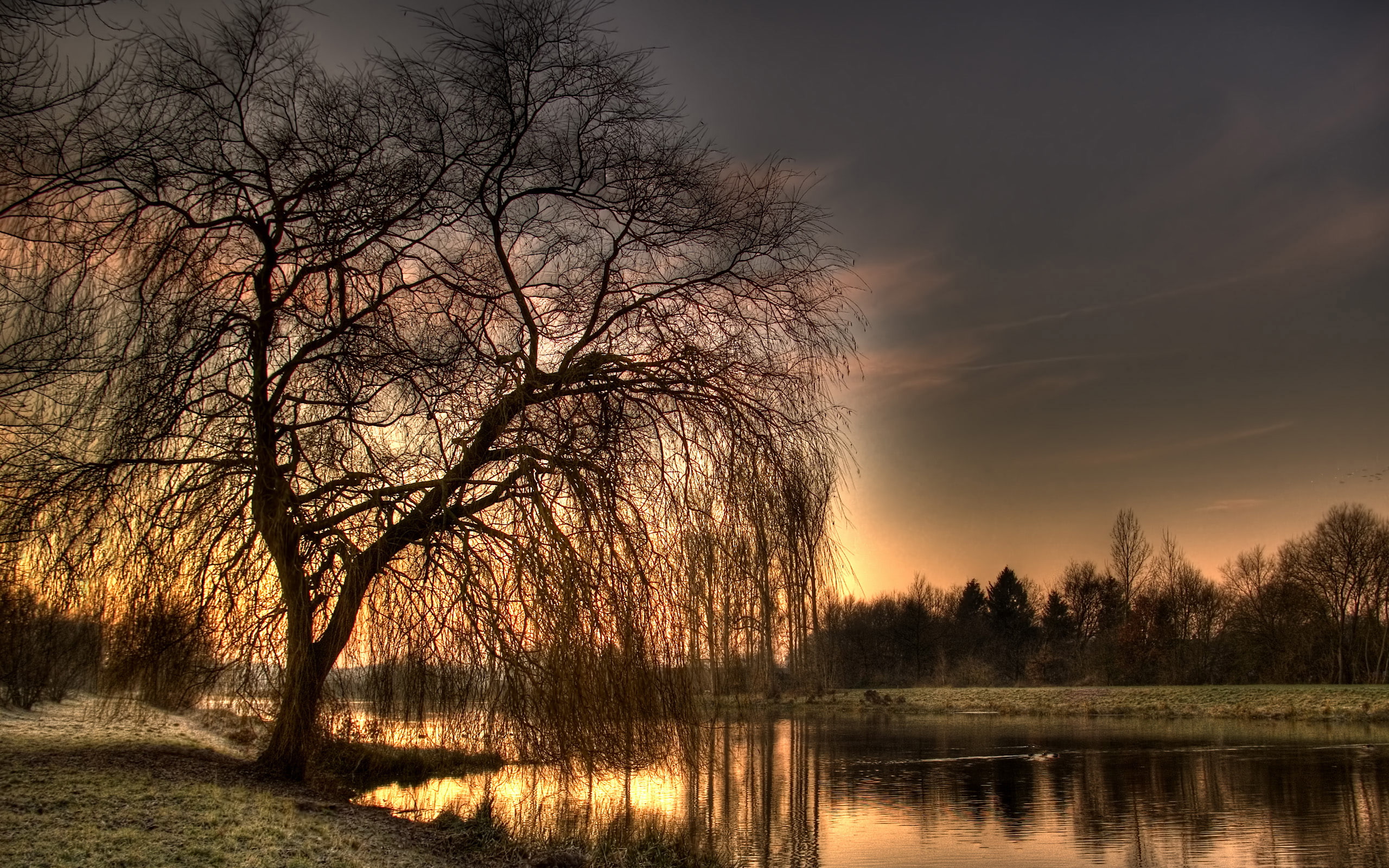 morning, lake, tree, outdoors, tranquil scene, 2K, sky, germany, sunrise, silhouette, sunset, sunday, waterfront, ii, reflections, nature, tranquility, HD Wallpaper