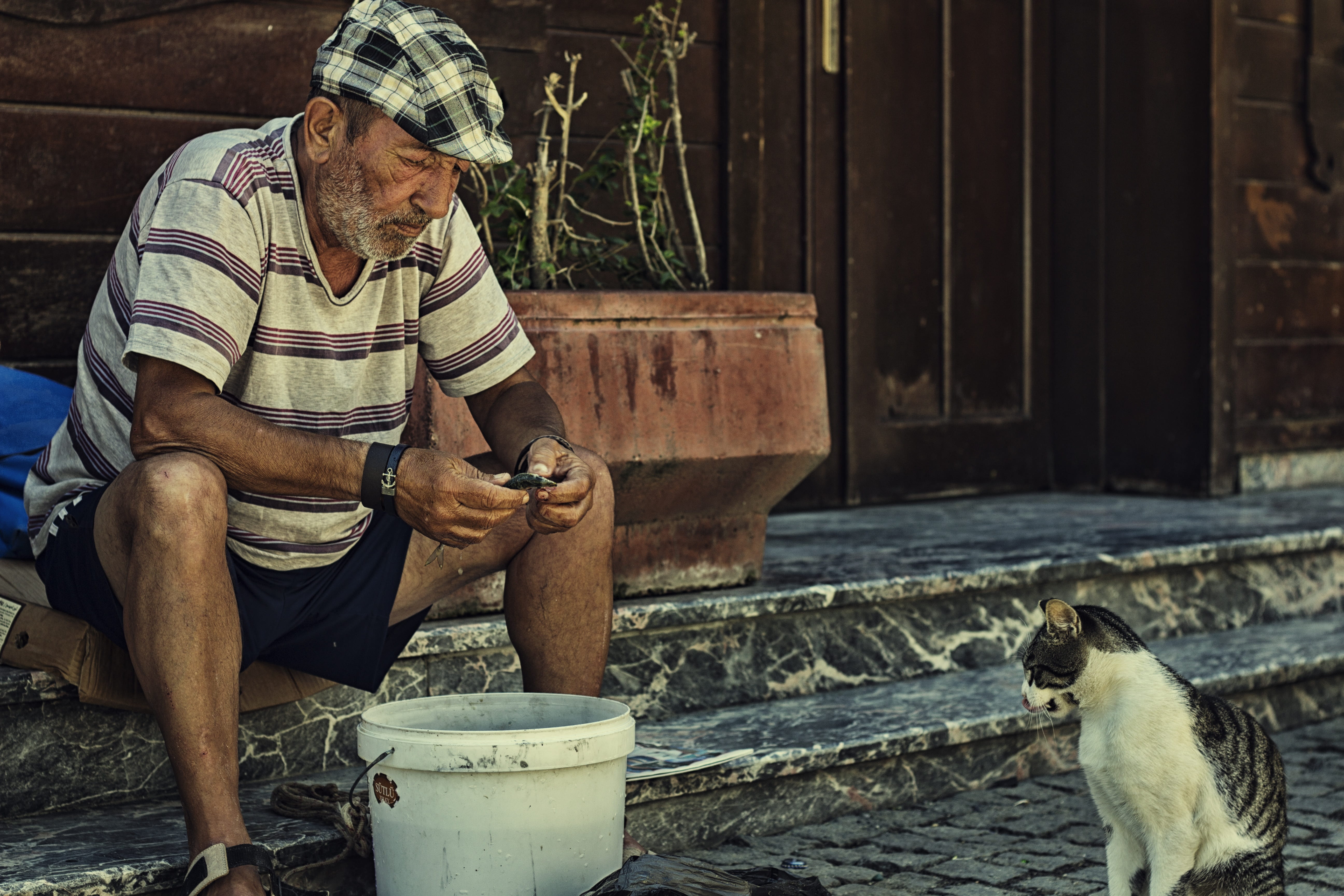 adult, one person, real people, people, sitting, 5K, morning, peace, city, human, farmer, domestic animals, occupation, photo, turkey, aesthetics, fish, HD Wallpaper