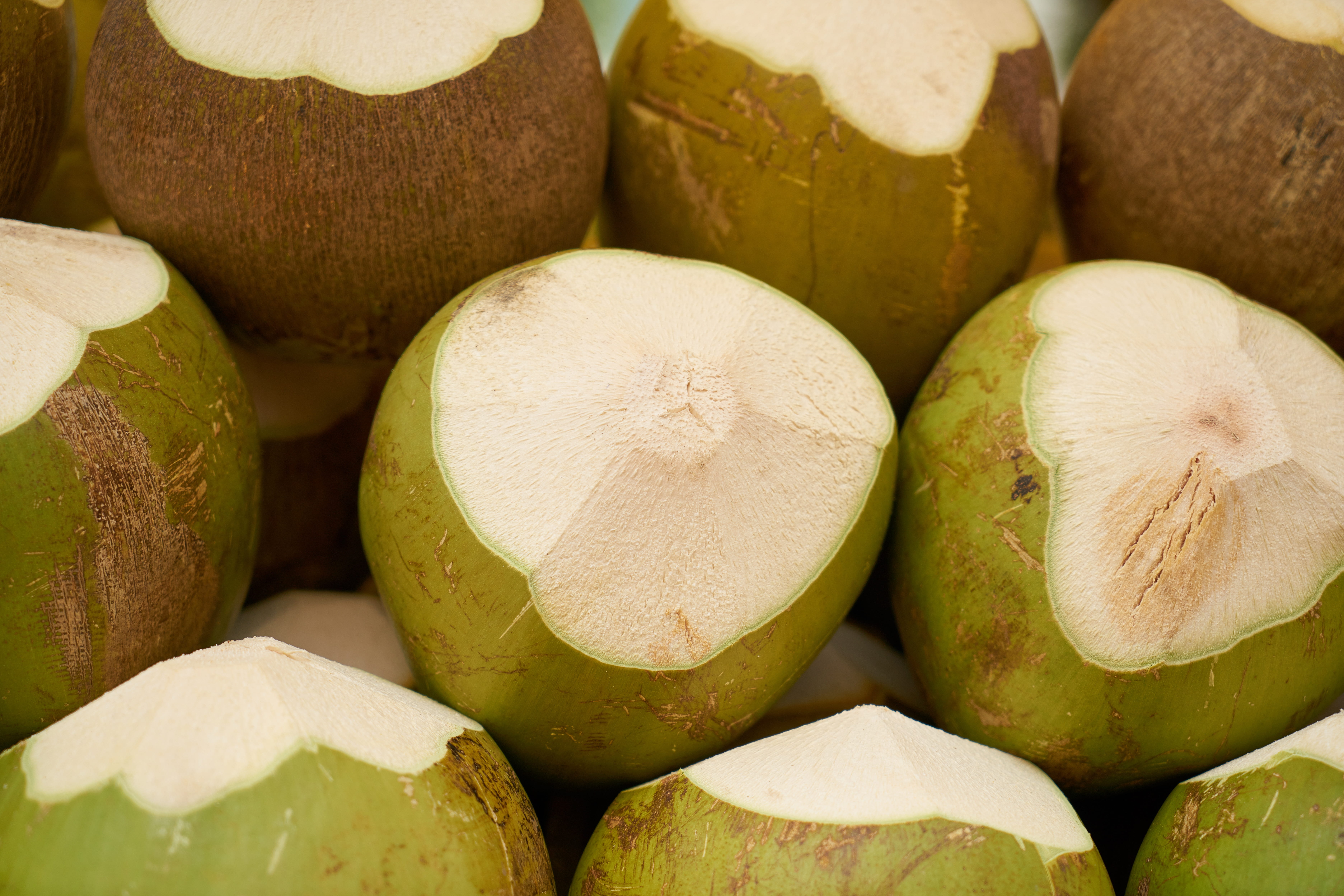 market stall, nobody, food, liquid, diet, still life, abundance, organic, stack, healthy lifestyle, melon, background, india coconut, food photo, ripe, HD Wallpaper