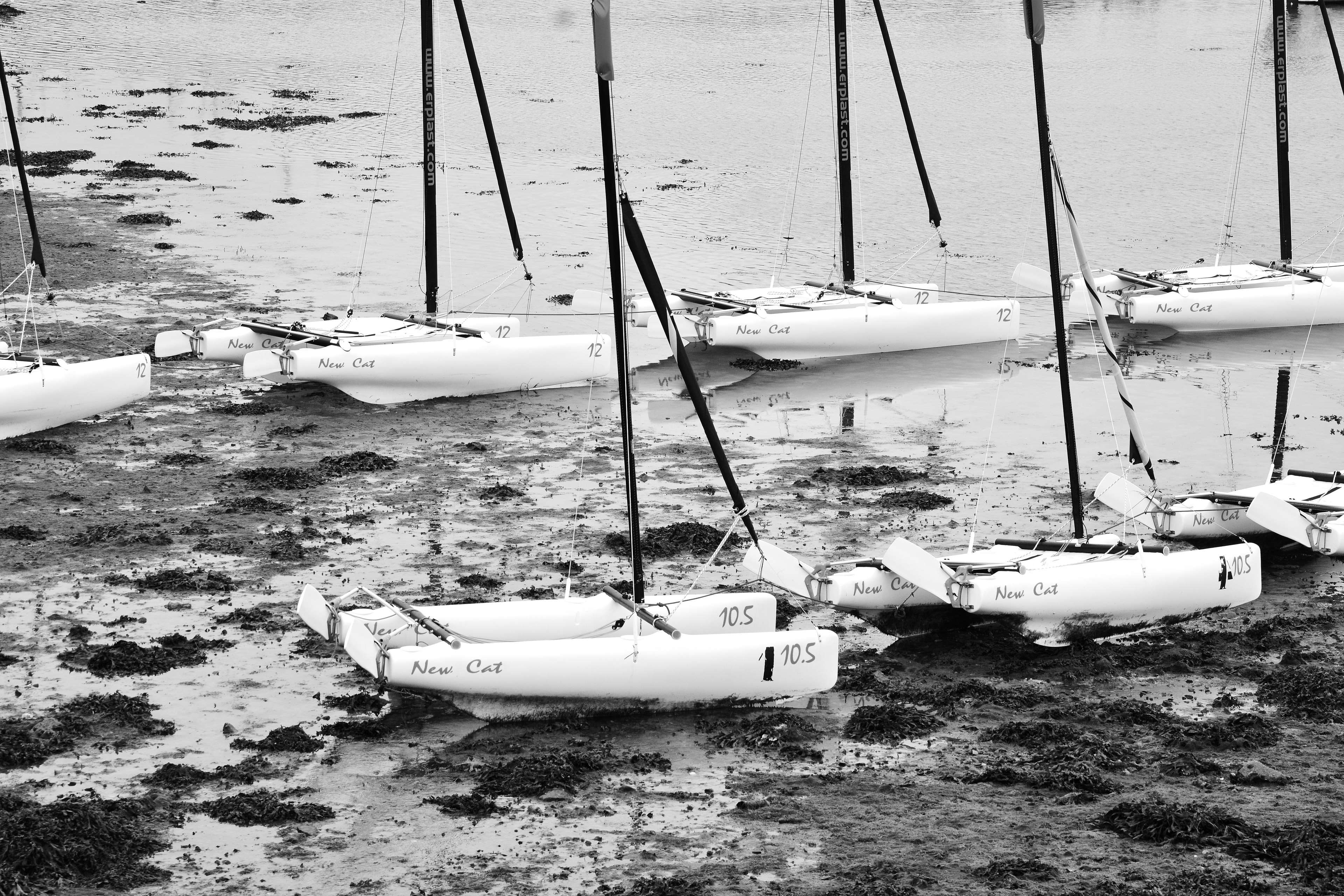 basse mare, harbor, travel, la navigation, loisirs, nautical vessel, catamarans, bateau de course, water, outdoors, moored, sea, port, transportation, dcharger, HD Wallpaper