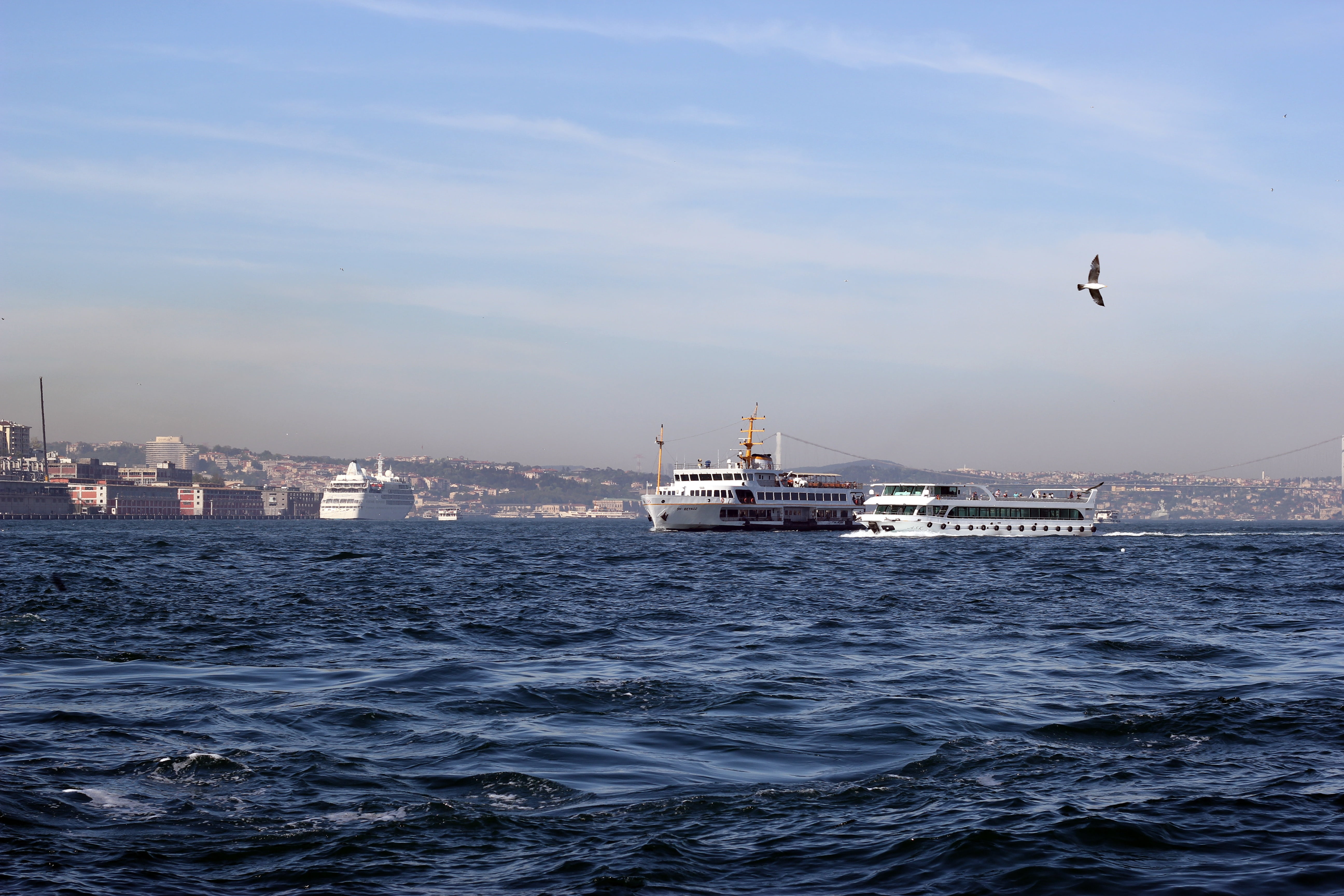 nature, city, water, 5K, vertebrate, architecture, built structure, blue, horn, no people, sea, flying, mosque, sky, nautical vessel, bosphorus, mode of transportation, HD Wallpaper
