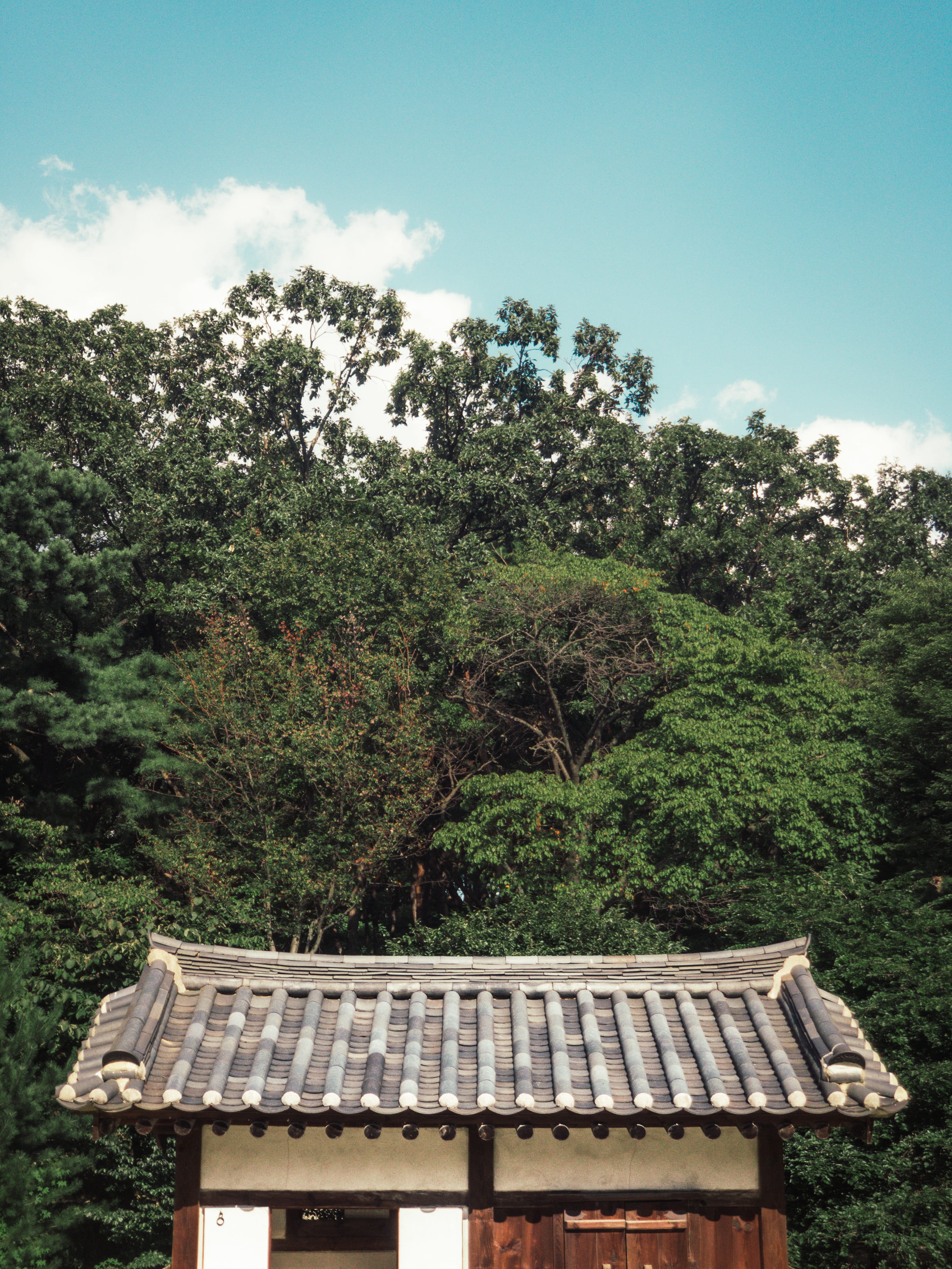building, sky, traditional, tranquility, korea, wood - material, structure, wooden, background, trees, asia, cloud - sky, day, building exterior, 4K, hanok, Phone HD Wallpaper