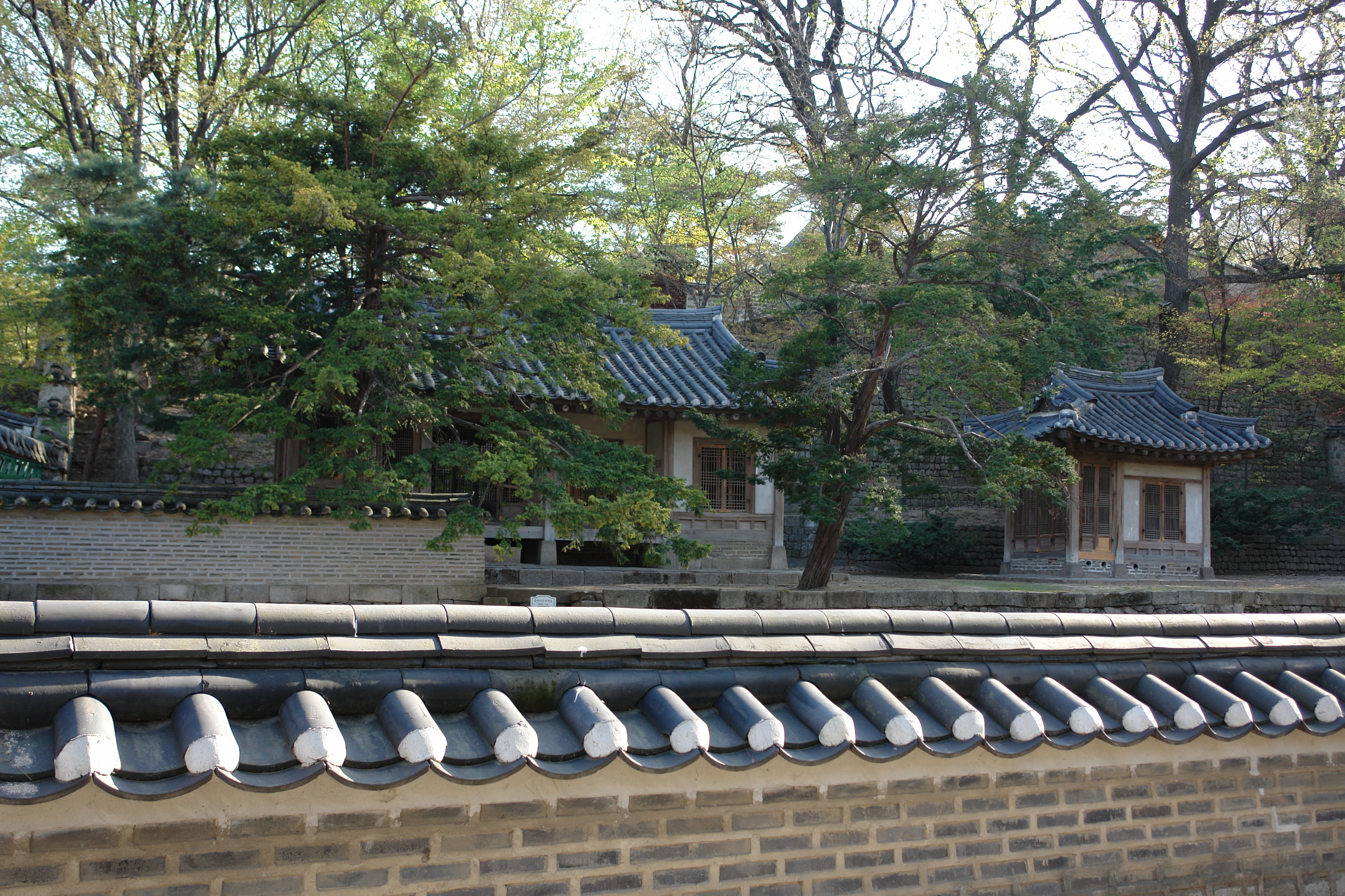 korea, republic of korea, fuel and power generation, no people, in a row, building exterior, growth, 2K, roof tile, water, plant, renewable energy, outdoors, HD Wallpaper