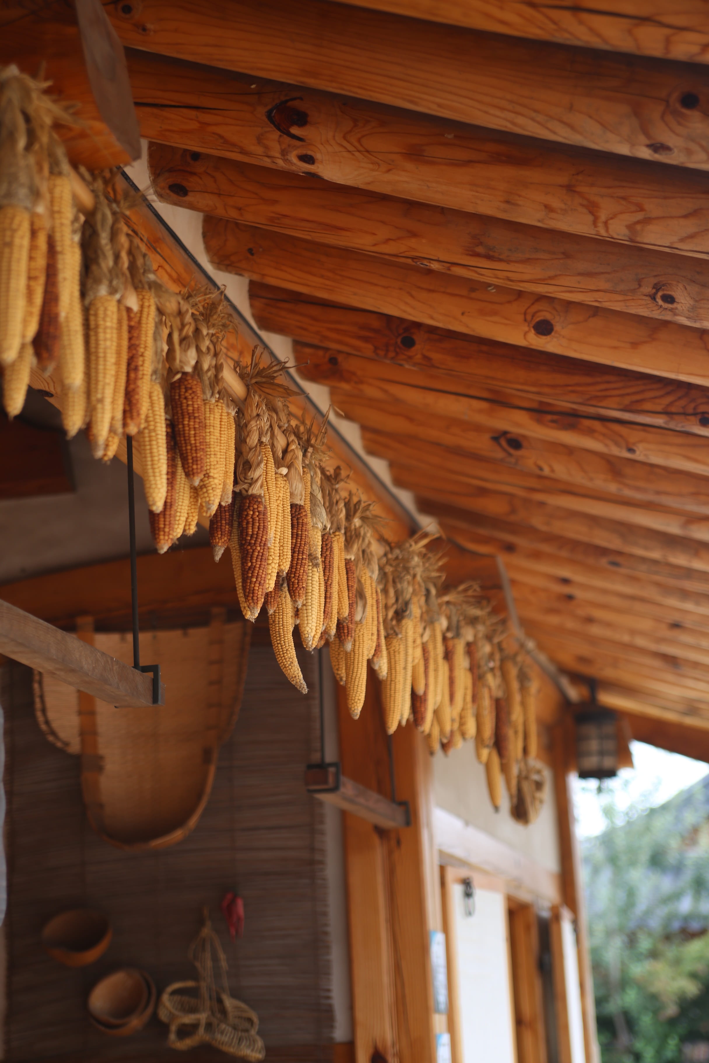 roof beam, architecture, no people, hanging, corn, low angle view, house, ceiling, hanok, selective focus, food, decoration, day, brown, close-up, building, Phone HD Wallpaper