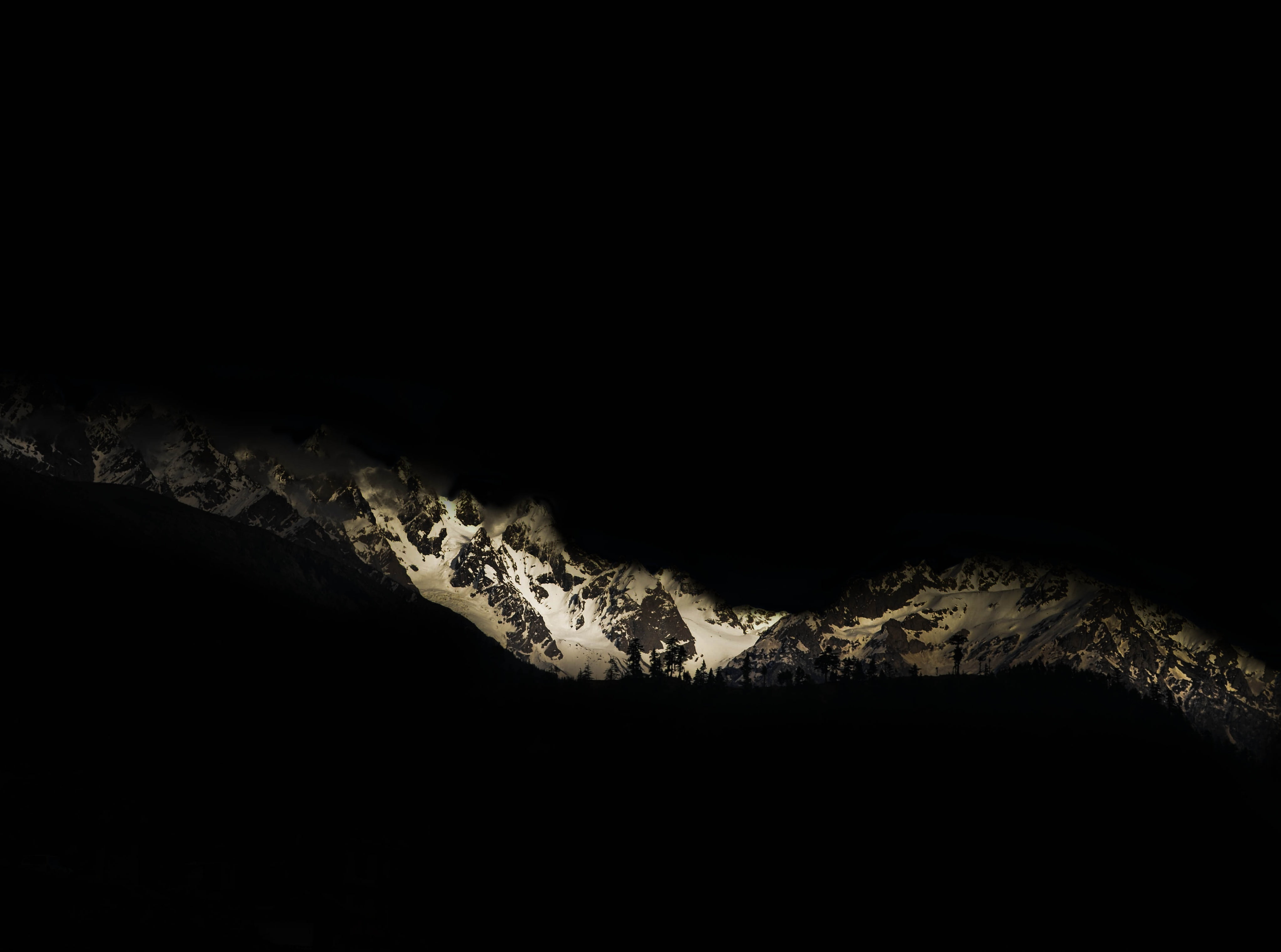 outdoors, nature, animals in the wild, night, black color, Black, black background, reptile, one animal, animal, no people, animal themes, beauty in nature, HD Wallpaper