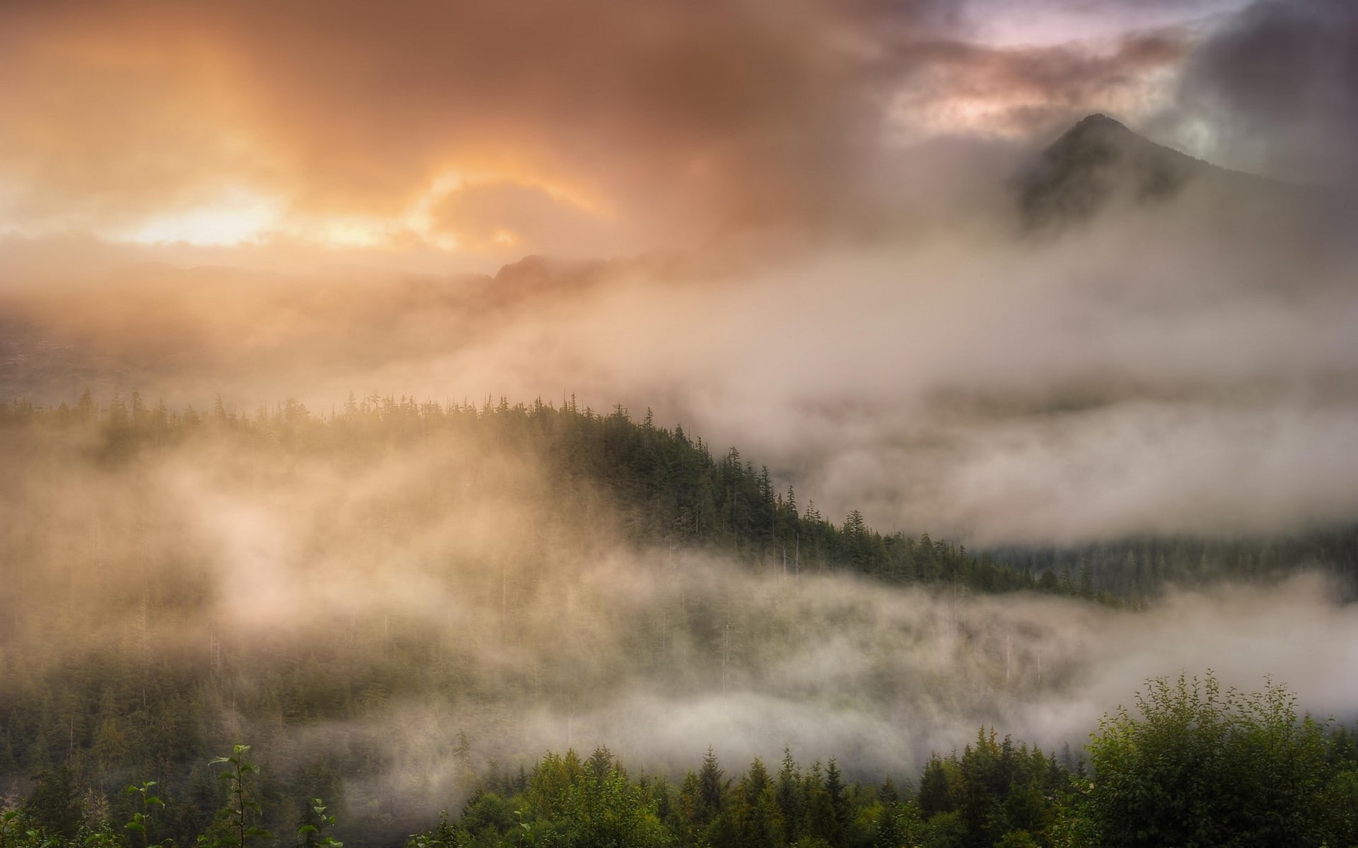 environment, mist, plant, tranquility, tranquil scene, sky, Alaska, outdoors, beauty in nature, cloud - sky, land, scenics - nature, idyllic, tree, pine tree, HD Wallpaper