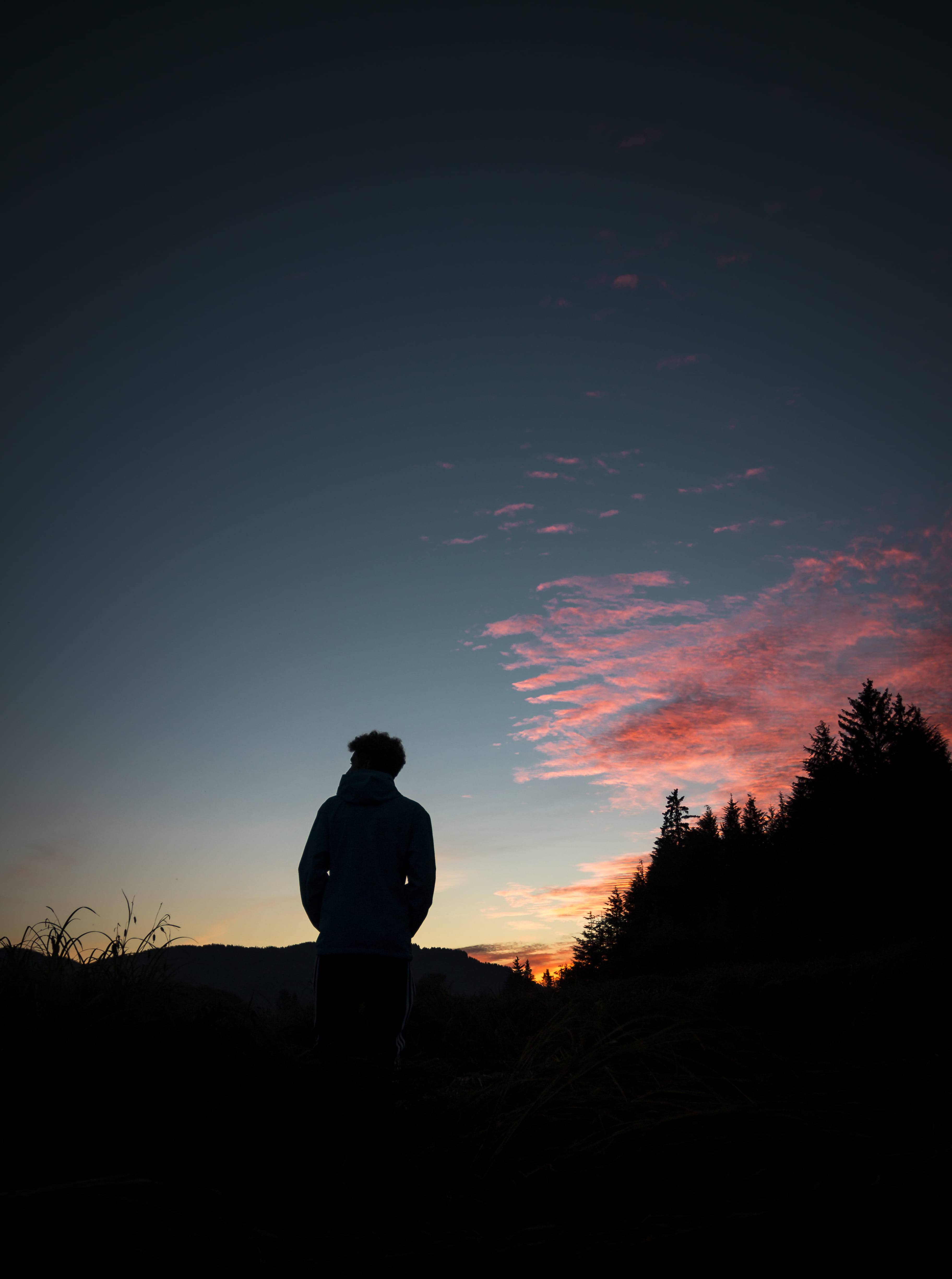 silhouette, looking, alaska, scenics - nature, sky, outdoors, plant, one person, sun, field, tranquil scene, sunset, 4K, nature, lifestyles, men, rear view, Phone HD Wallpaper