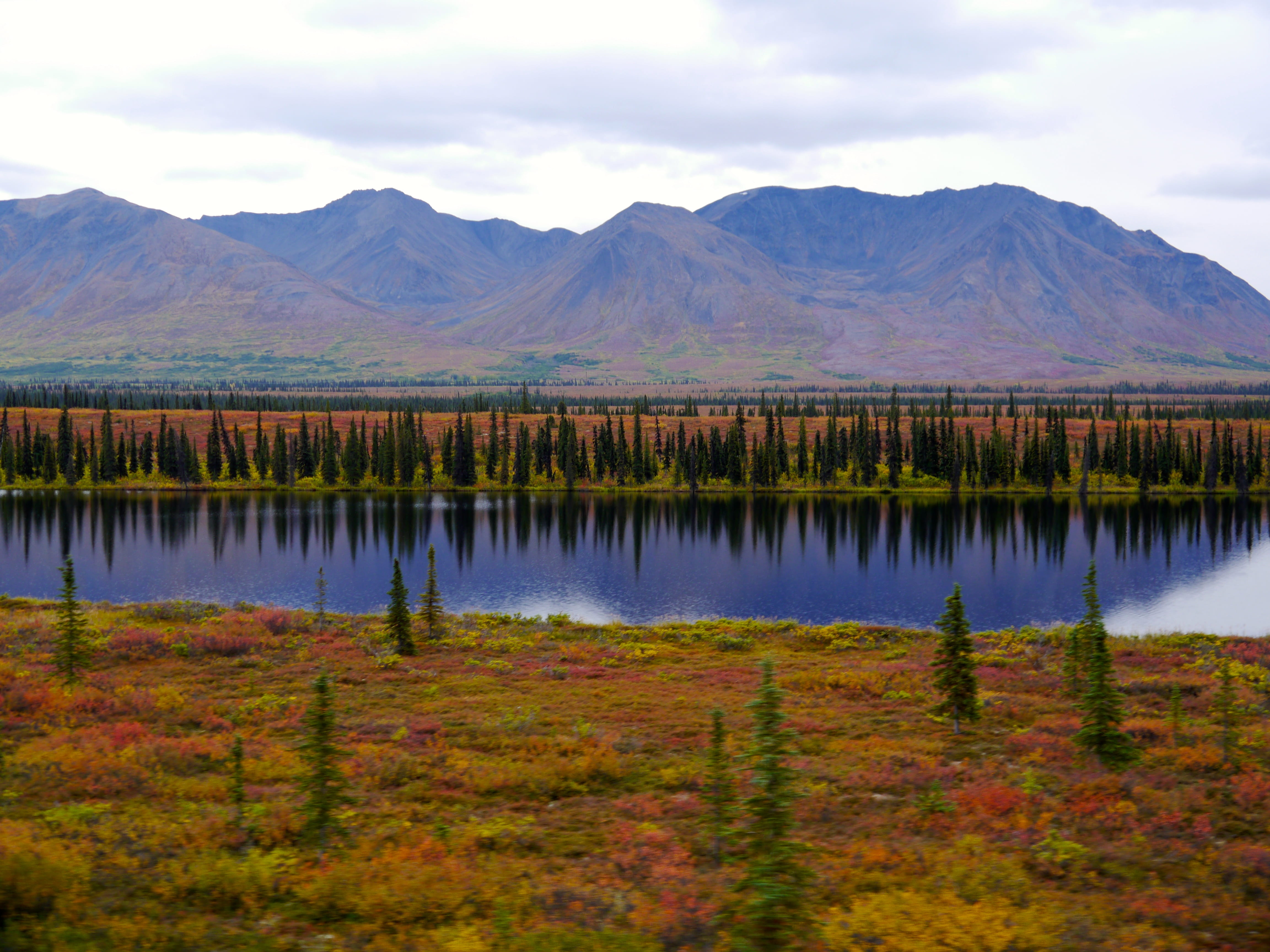 scenics - nature, abies, 4K, tranquil scene, larch, landscape, autumn, alaska, environment, mountain range, spruce, nature, idyllic, mountain, water, reflection, HD Wallpaper