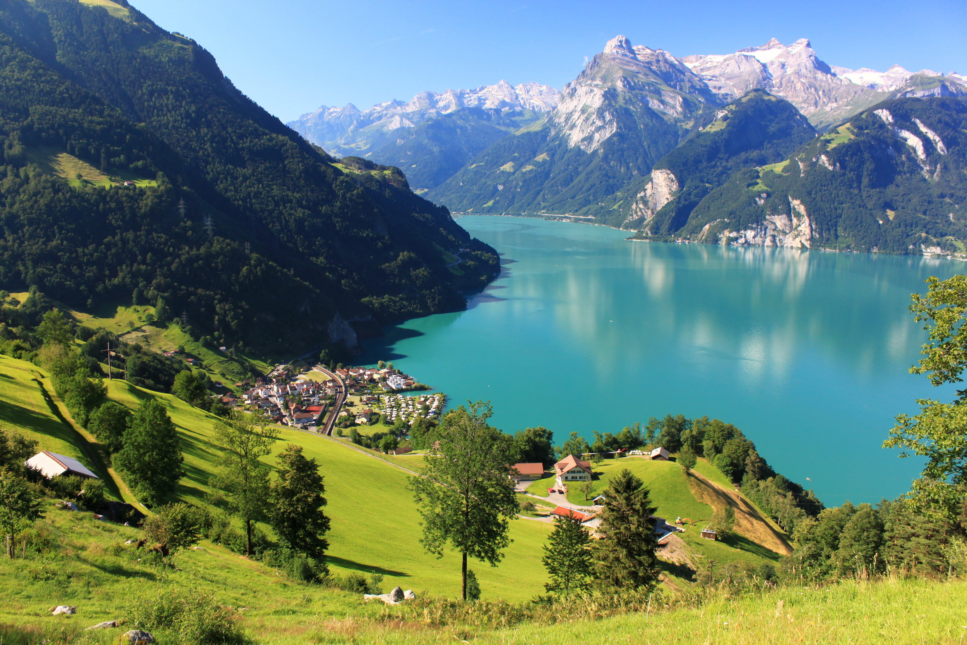 tranquil Scene, water, tree, mountain, lake, nature, landscaped, hill, rural Scene, Switzerland, outdoors, snowcapped mountain, landscape, plant, Shwyz, HD Wallpaper