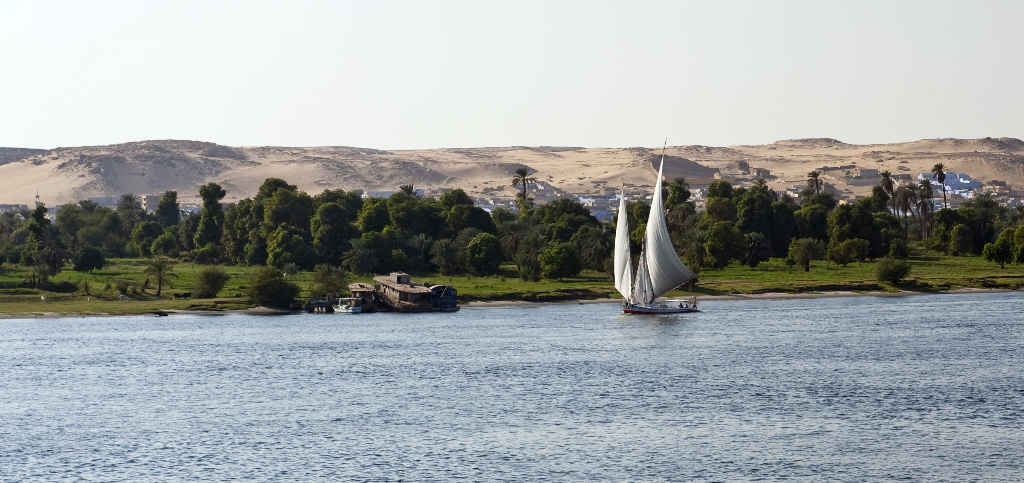 day, sail, sailboat, white, sand dunes, tourism, travel, near, outdoors, water, coniferous tree, river nile, sky, non-urban scene, egypt, tranquil, nature, HD Wallpaper