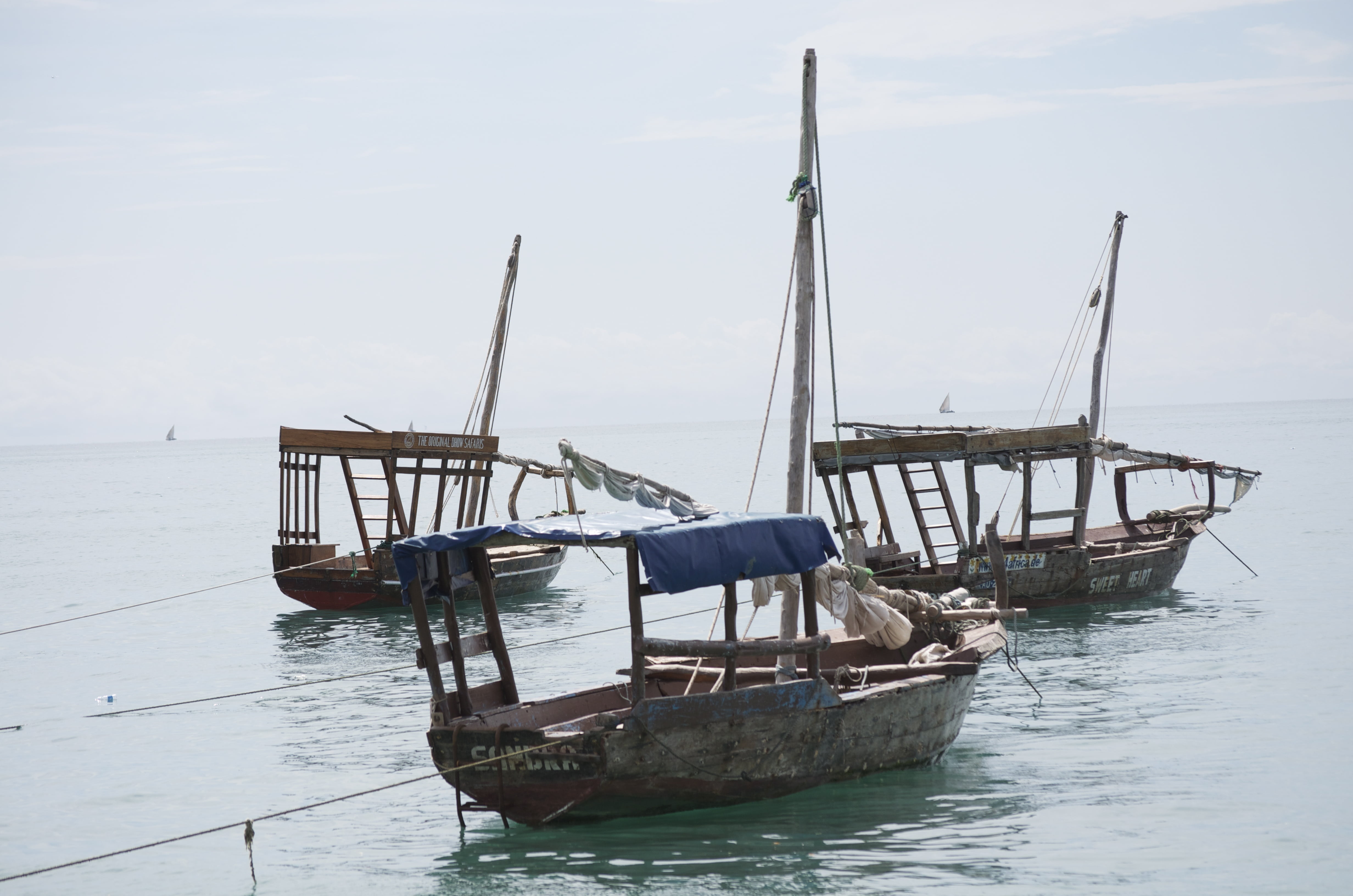 no people, mast, wood - material, transportation, africa, nautical vessel, beauty in nature, dhow boats, sky, nature, day, tranquility, waterfront, fishing industry, HD Wallpaper