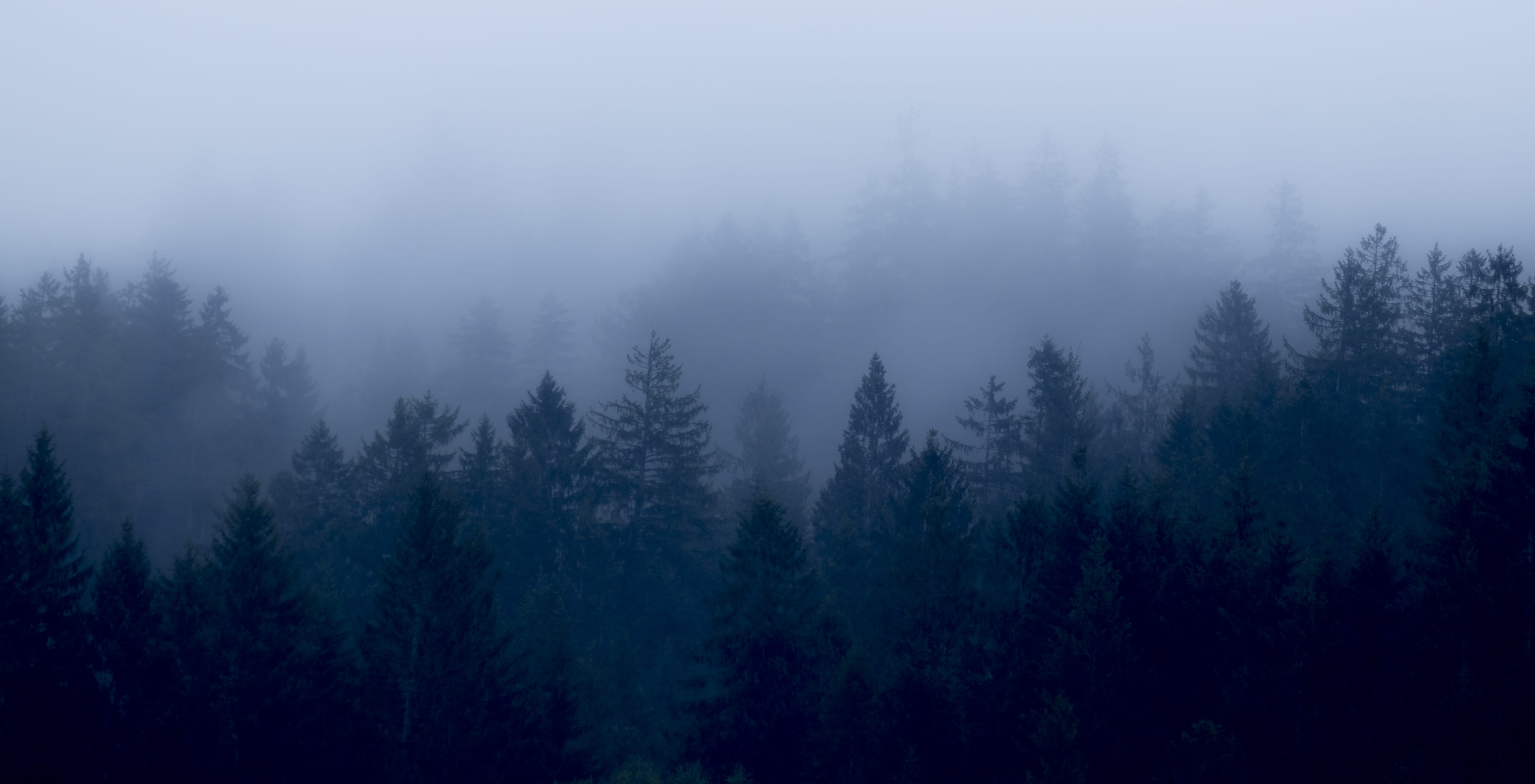 layers, schweiz, mountain, kanton schwyz, winter, tranquility, fogs, plant, brunni, tree, pine woodland, weather, land, non-urban scene, tranquil scene, HD Wallpaper