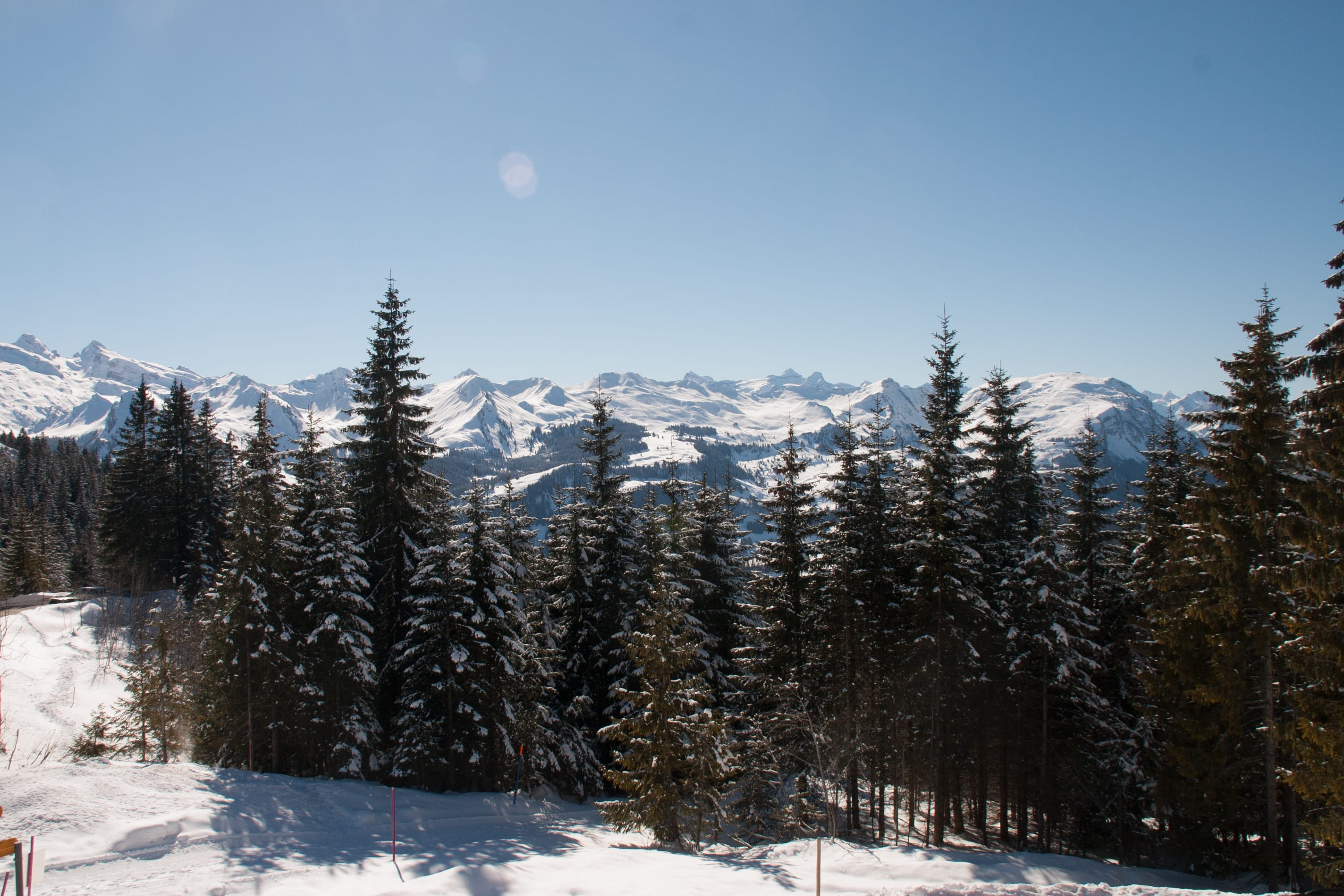 non-urban scene, canton of schwyz, tranquility, sky, land, ski, hills, tranquil scene, plant, snowcapped mountain, tree, cold temperature, pine tree, 2K, HD Wallpaper