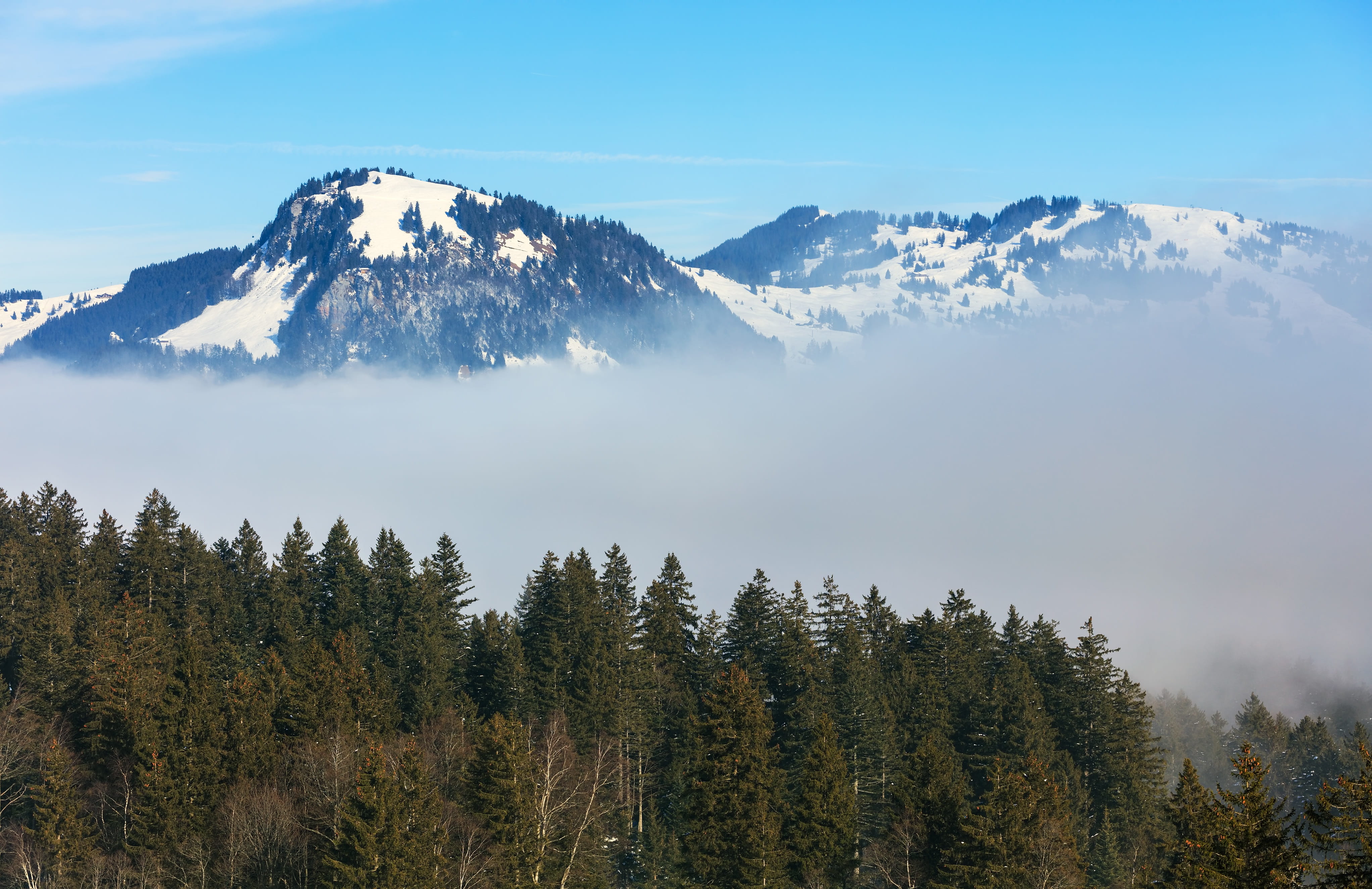 swiss alps, switzerland, alps, land, cloud, stoos, europe, slope, no people, snowcapped mountain, sky, swiss, scenics, pine tree, peak, cloud - sky, hill, HD Wallpaper