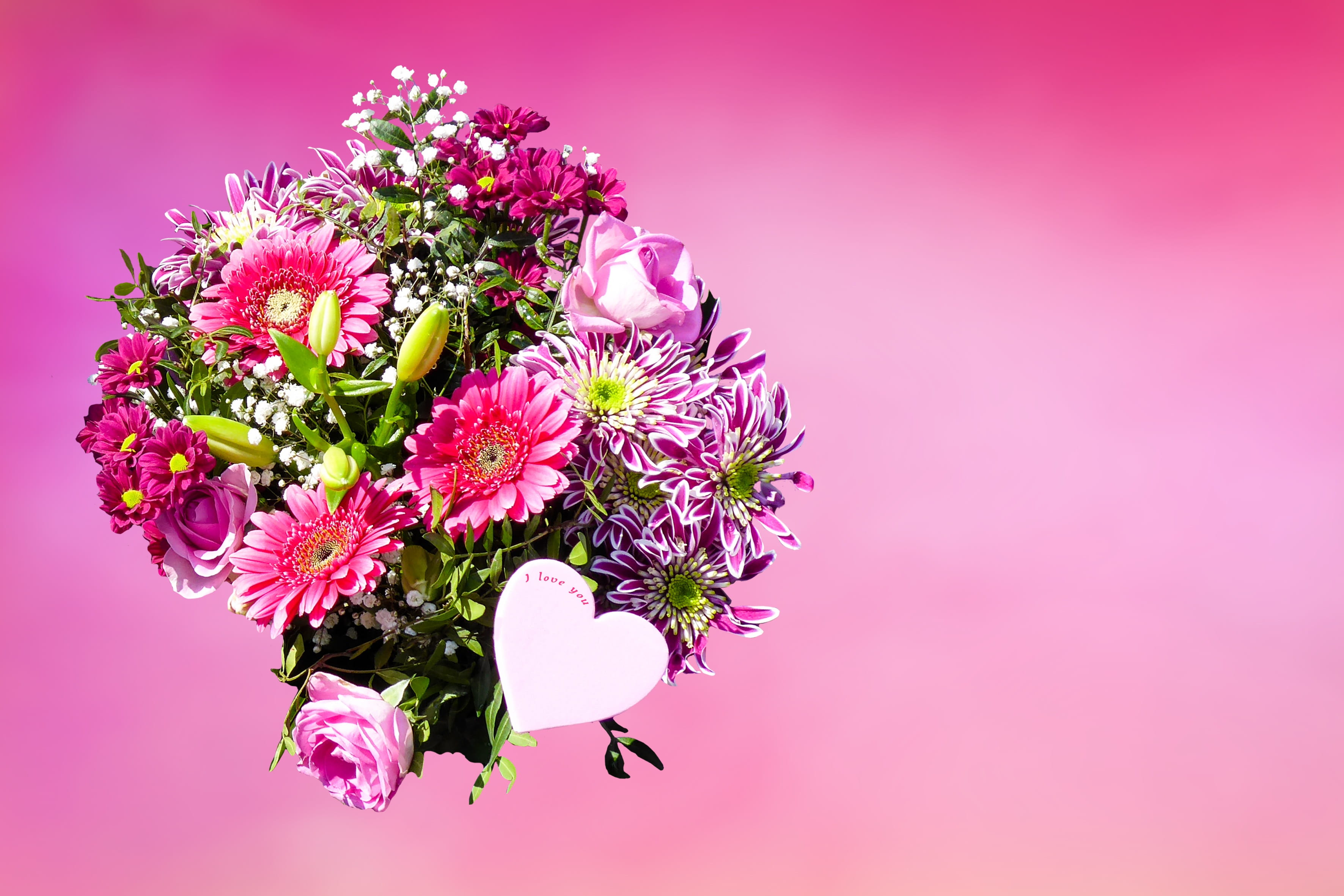 flowering plant, beauty in nature, vulnerability, inflorescence, birthday, close-up, valentines day - holiday, symbol, heart, joy, nature, love, no people, HD Wallpaper