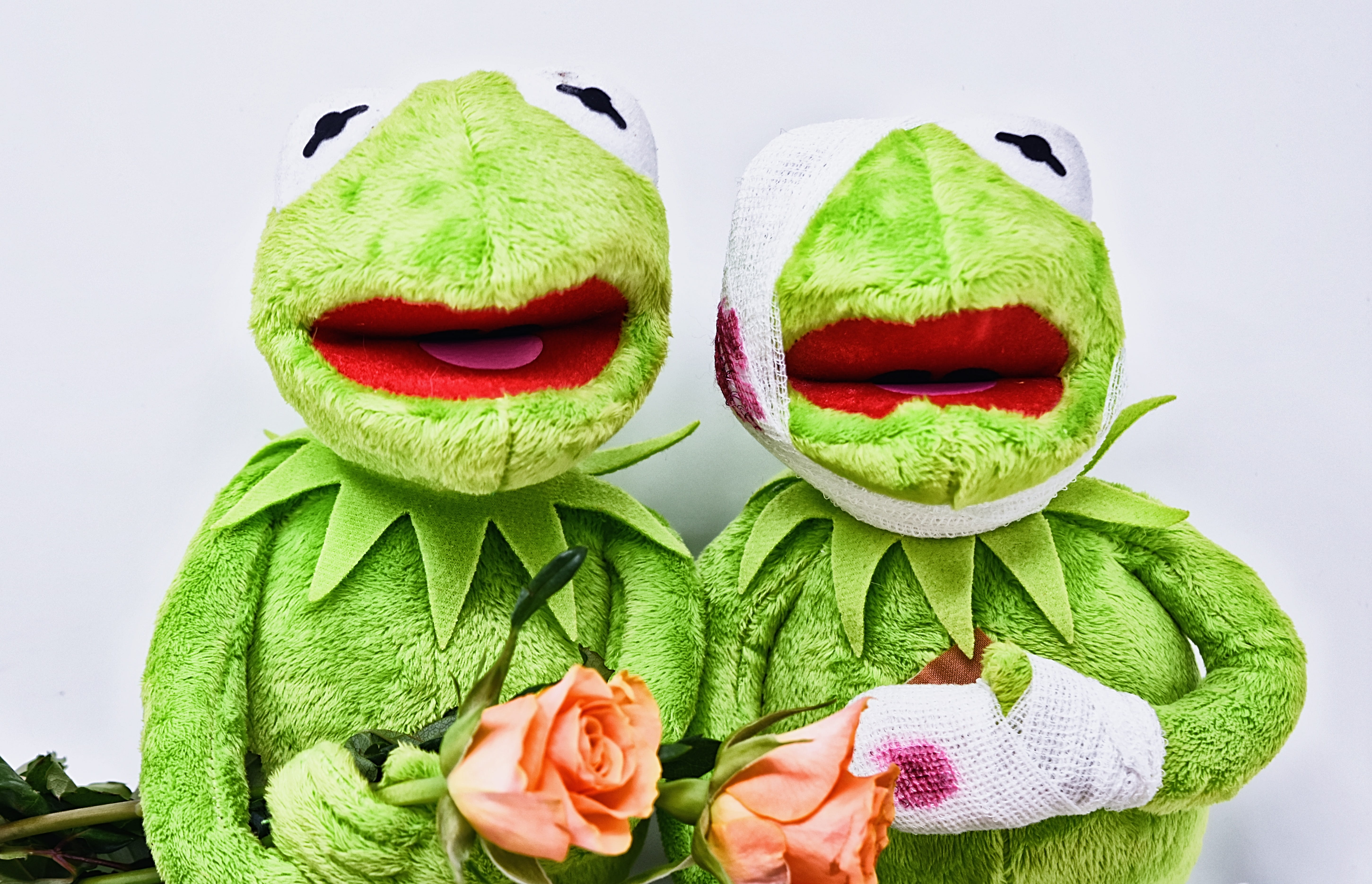 frog, get well soon, human face, plush, body part, green color, art and craft, representation, studio shot, clothing, winter, human representation, cute, HD Wallpaper