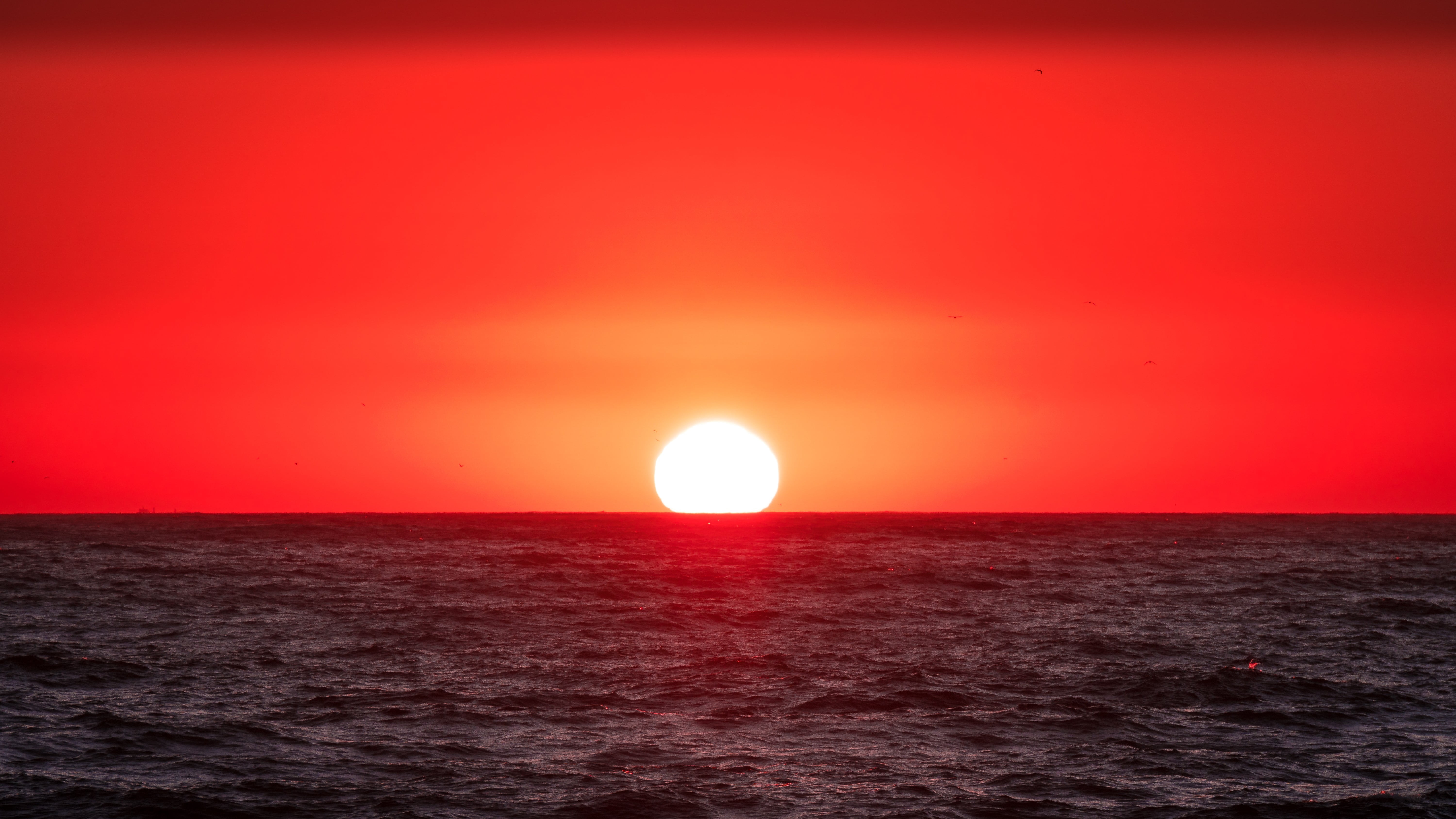 beauty in nature, circle, horizon, waterfront, nature, sun, outdoors, water, no people, geometric shape, sea, tranquility, case, 5K, sky, red, plastic, HD Wallpaper