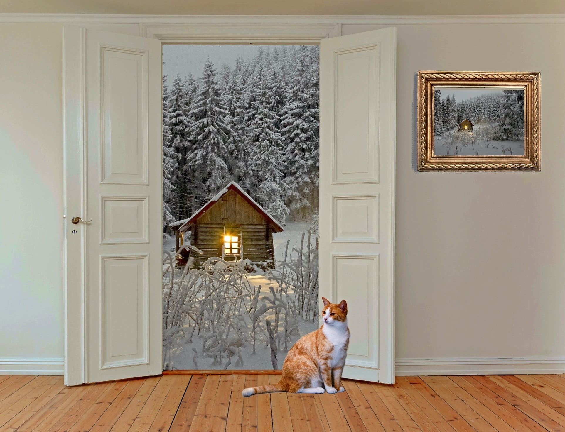one animal, wood, people, outlook, room door, white, domestic animals, winter dream, hinged door, pets, wood - material, input, domestic, plant, open door, HD Wallpaper