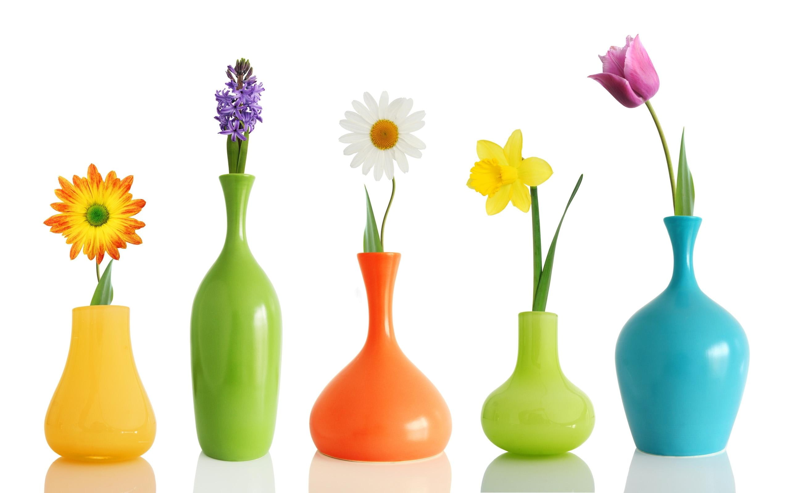 nature, flower, 2K, colorful, vases, flowers, HD Wallpaper