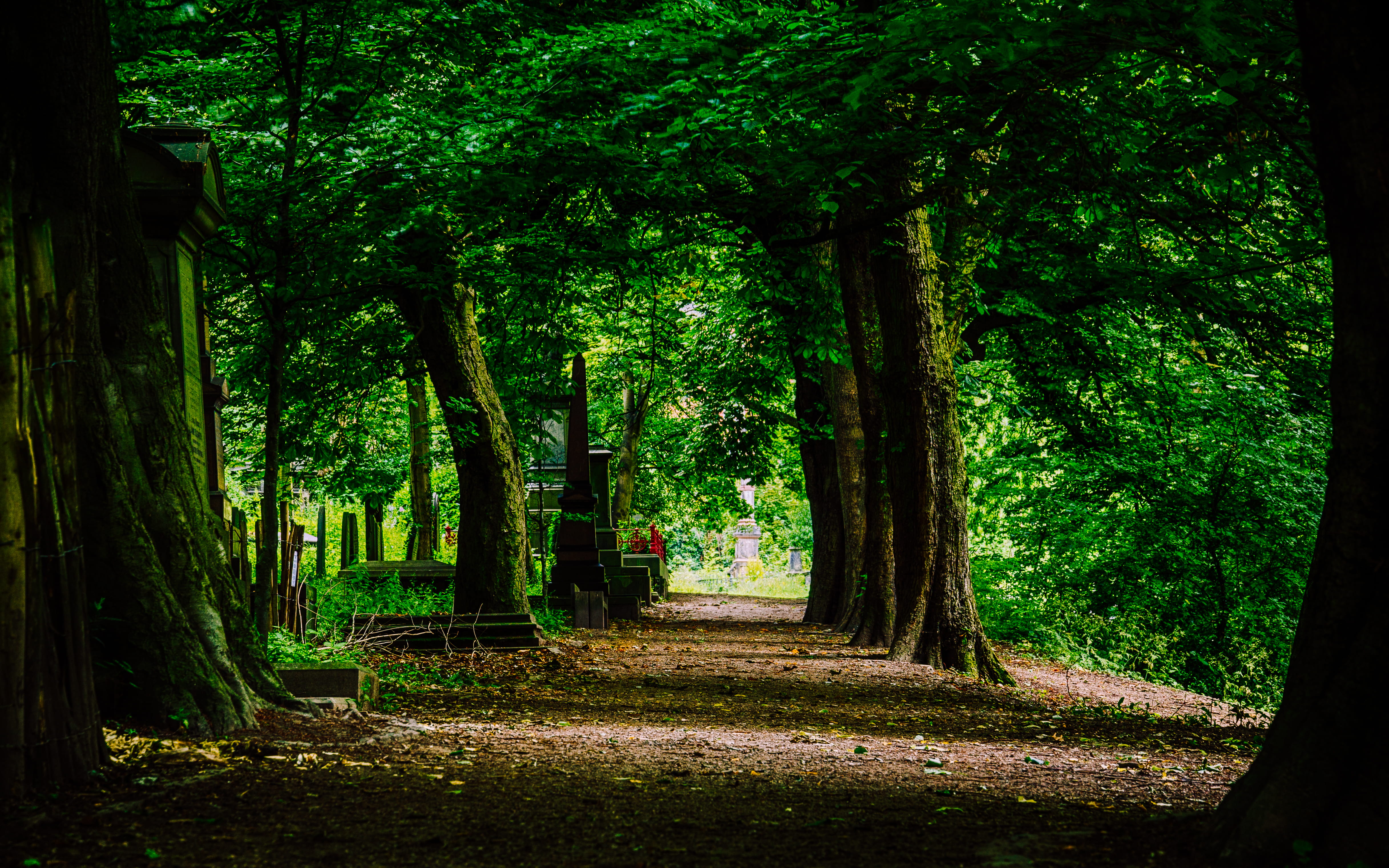 no people, scenics - nature, outdoors, woodland, land, park, uk, forest, tranquil scene, tranquility, summer, cemetery, sheffield, plant, beauty in nature, HD Wallpaper
