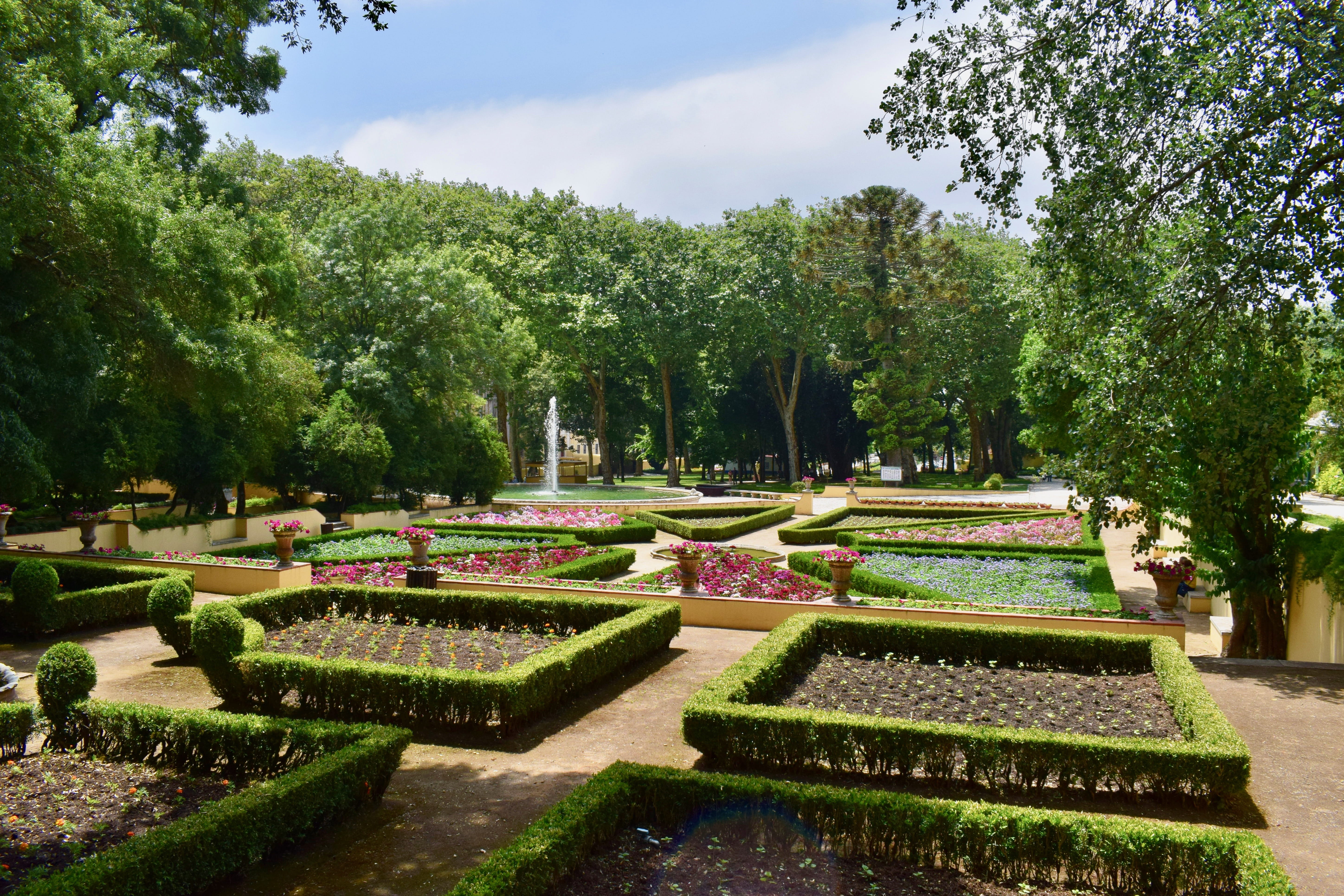 day, grass, tree, flowers, ornamental garden, growth, cemetery, portugal, palace, tranquility, garden, perfect, mafra national palace, no people, sky, hedge, HD Wallpaper