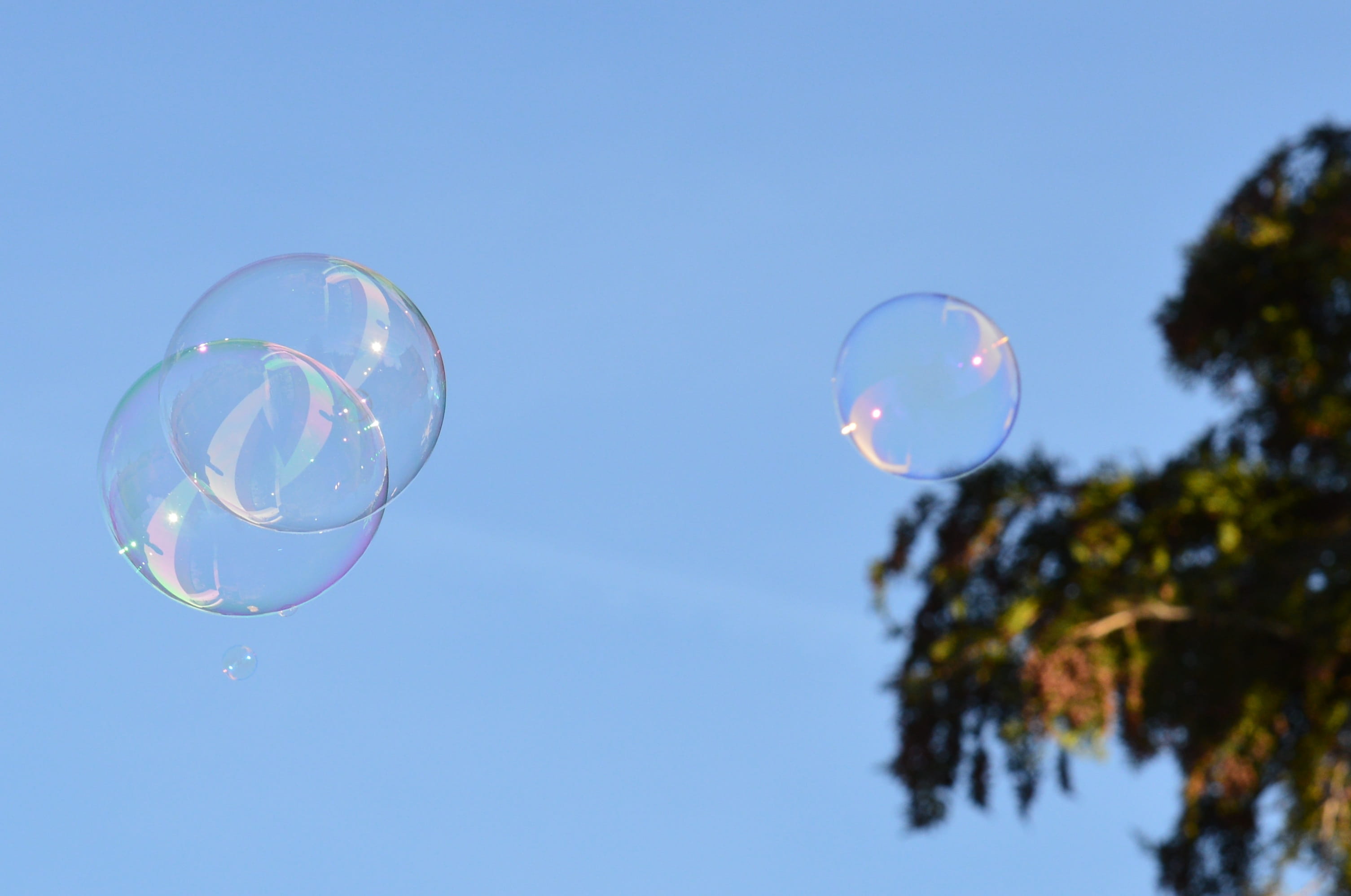 blue, float, flying, make soap bubbles, Soap Bubbles, mirroring, no people, plant, soap sud, sky, soapy water, nature, vulnerability, fragility, Balls, HD Wallpaper