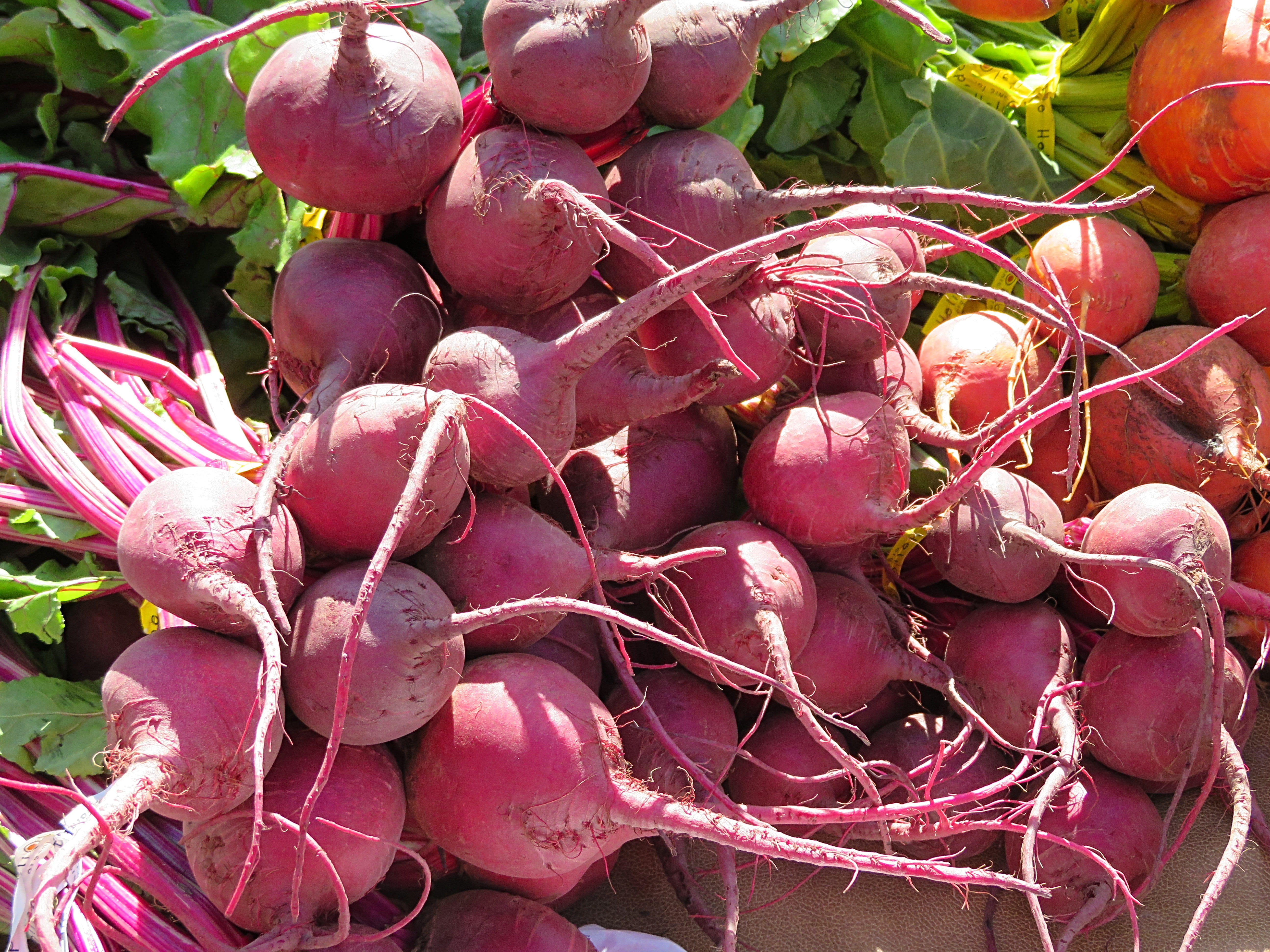 healthy eating, raw food, nutrition, day, healthy, pink color, large group of objects, red, freshness, radish, vegetarian, for sale, close-up, food and drink, HD Wallpaper