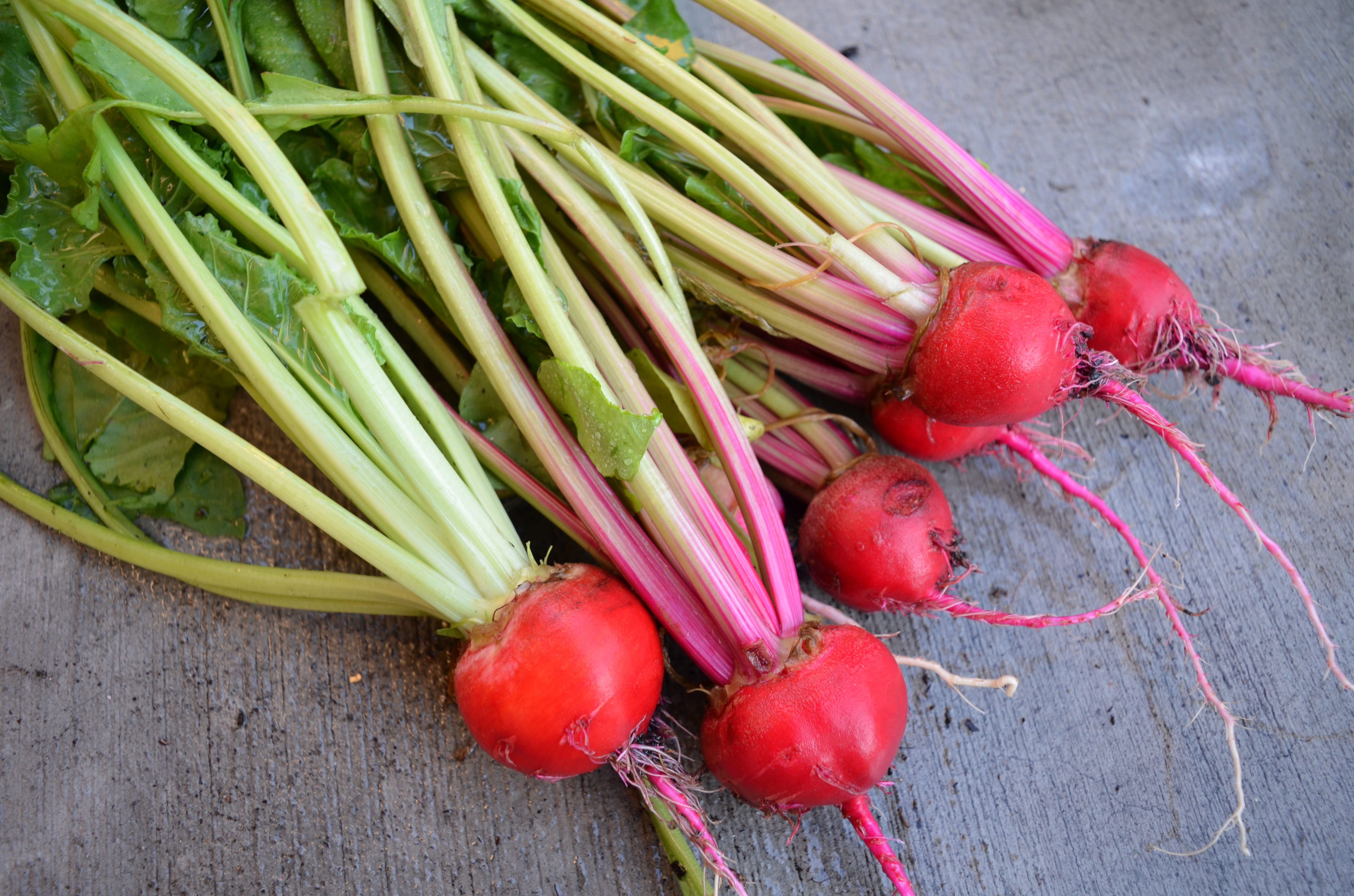 no people, natural food, Food, Harvest, root vegetable, multi colored, still life, high angle view, day, radish, Season, healthy Eating, green color, freshness, HD Wallpaper