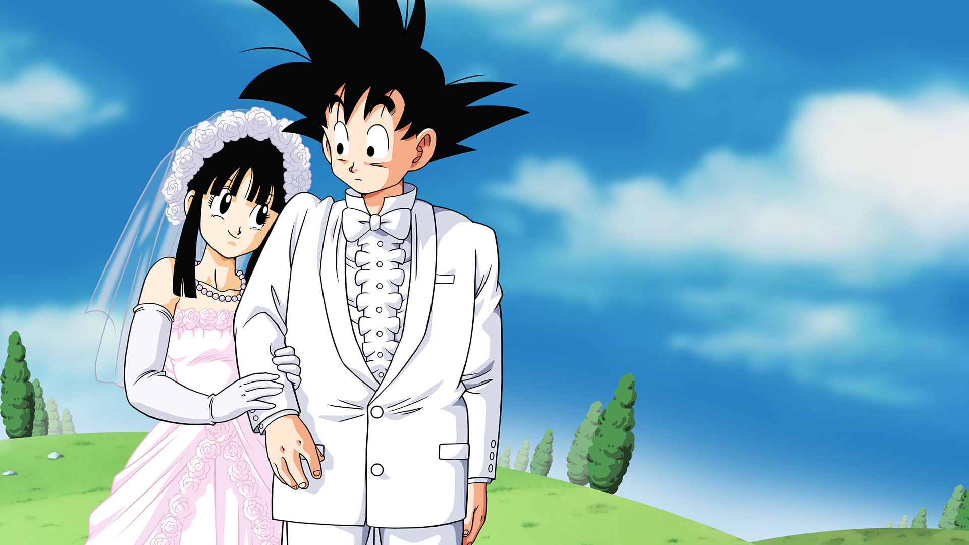 son, two people, heterosexual couple, emotion, ball, Goku, adult, females, z, chi, three quarter length, 1080P, outdoors, women, looking, fashion, Dragon Ball, HD Wallpaper