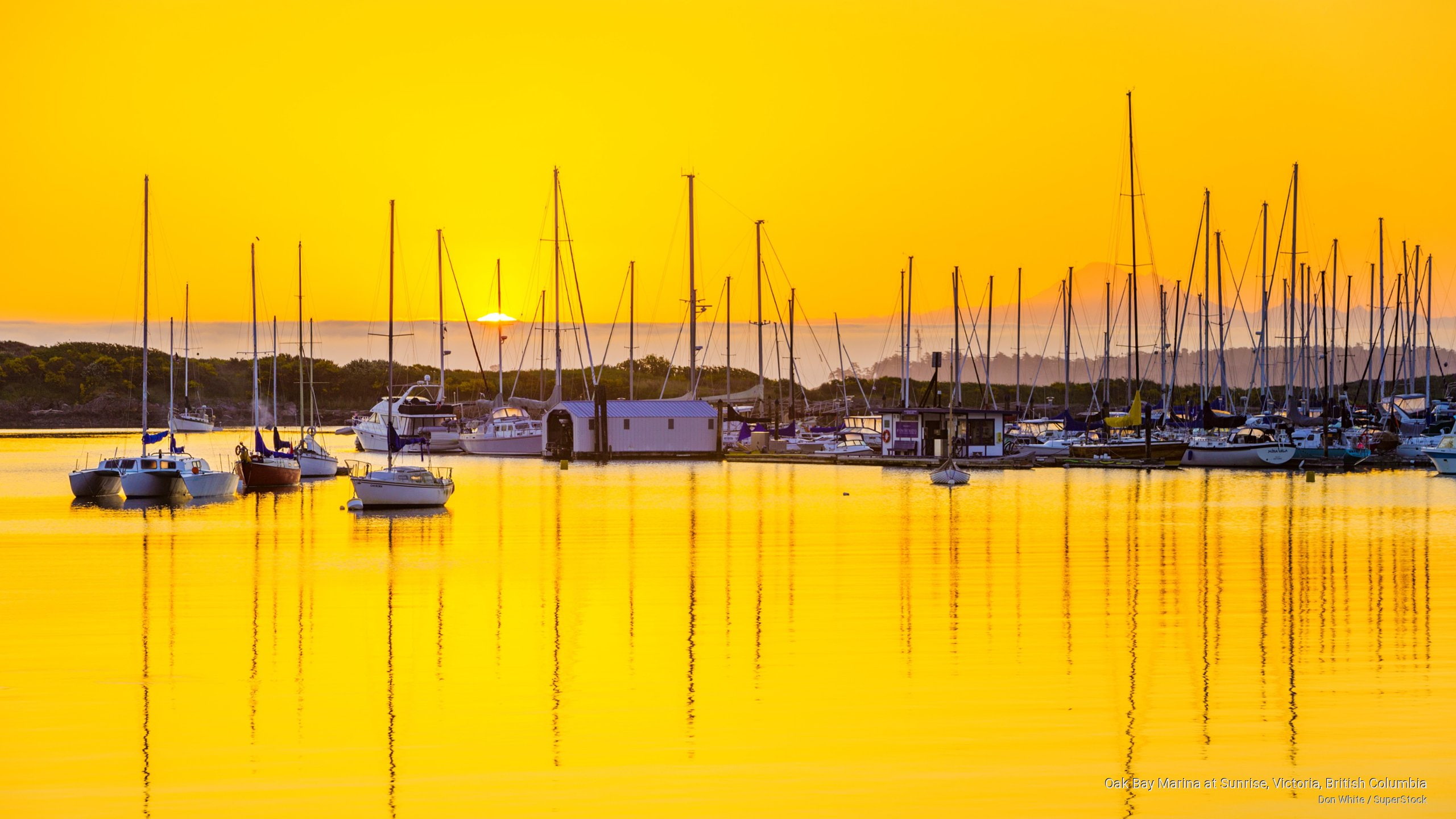 oak, Sunrises/Sunsets, columbia, british, marina, sunrise, bay, victoria, 2K, HD Wallpaper