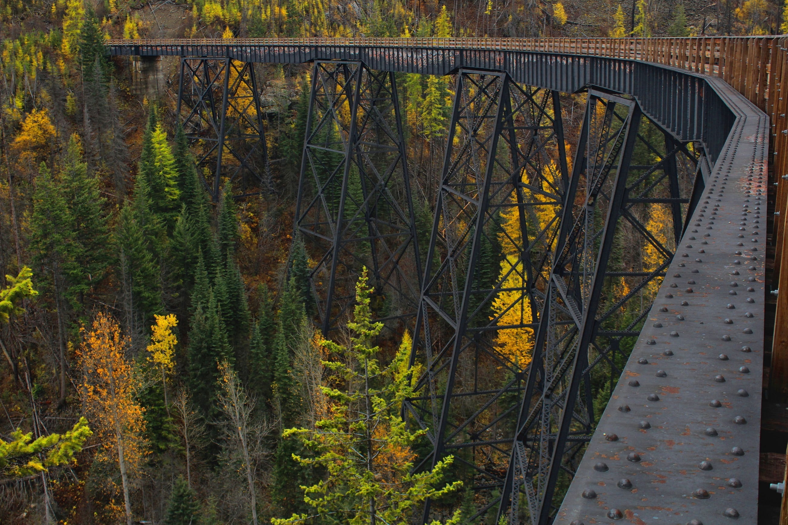 kelowna, brides, bridge, land, metal, myra canyon, british, tree, connection, black, outdoors, forest, 2K, rail transportation, window, tranquility, train, HD Wallpaper