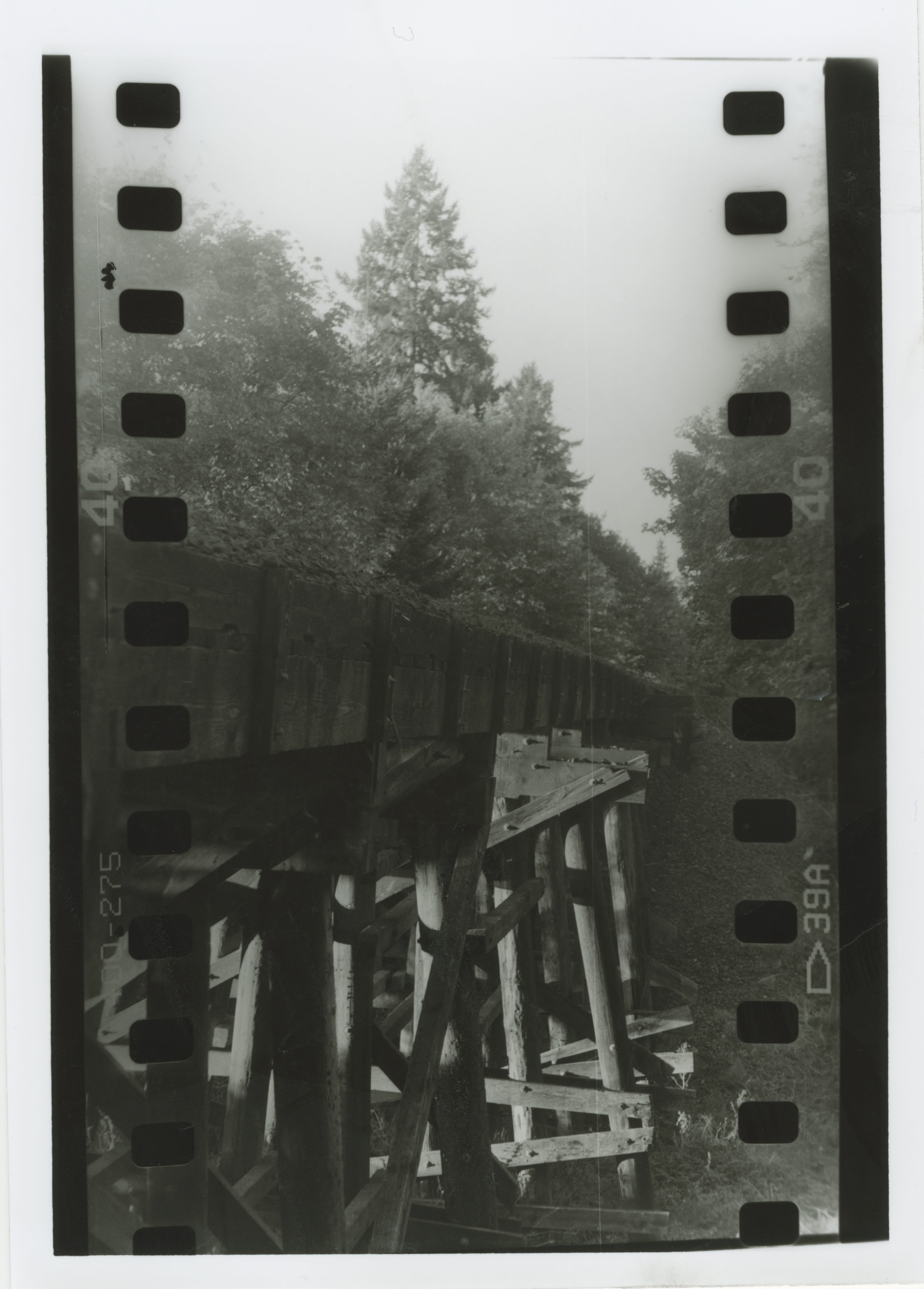 film, cold temperature, nature, tree, no people, transportation, transfer print, 5K, day, b w, vintage, winter, tracks, trestle, water, outdoors, connection, Phone HD Wallpaper