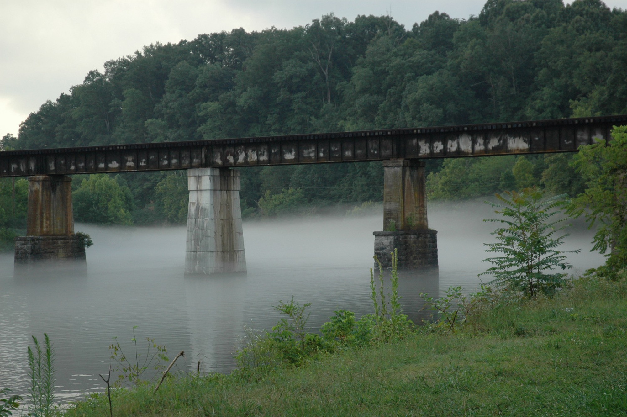 built structure, scenics - nature, tree, connection, outdoors, beauty in nature, arch bridge, nature, tranquility, growth, river, mountains, 1080P, bridge - man made structure, HD Wallpaper