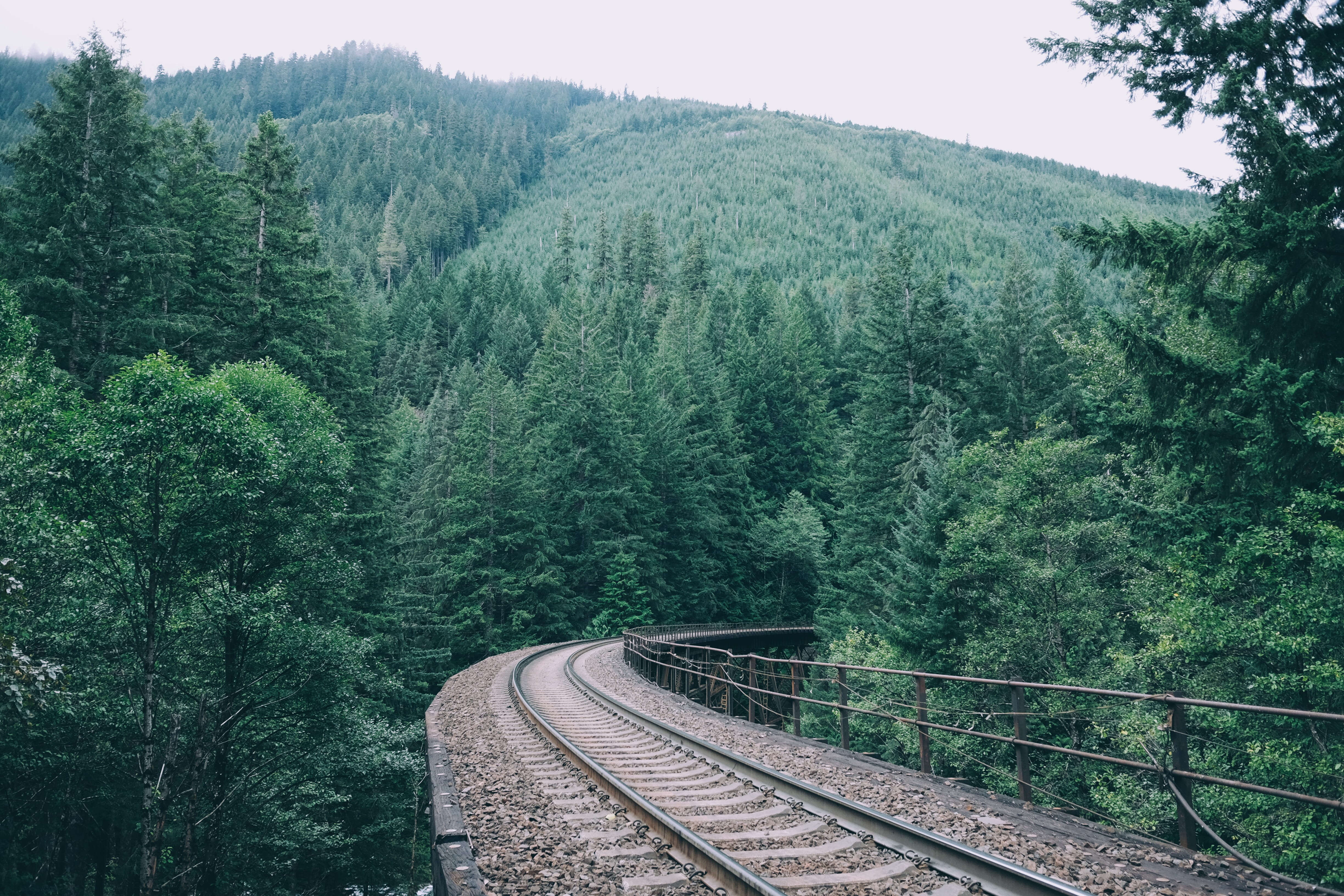 pacific, evergreen, pine, daytime, trees, outdoors, growth, trestle, brown, day, track, transportation, surrounded, no people, metal, green, railing, 4K, HD Wallpaper