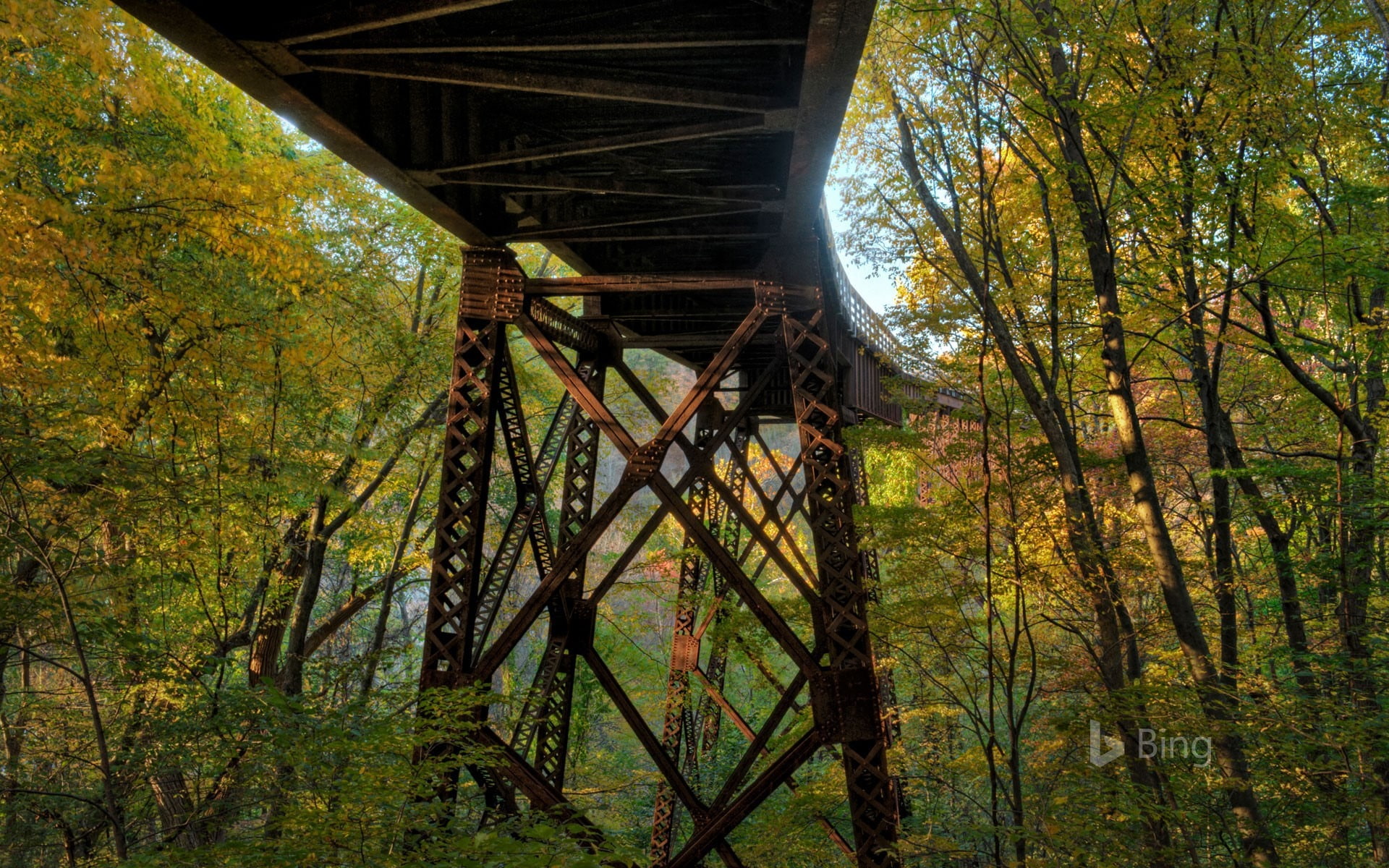 trestle, tree, architecture, land, wallpap, nature, built structure, bridge, bing, wheel, tranquility, metal, 1080P, forest, growth, railroad, green color, HD Wallpaper