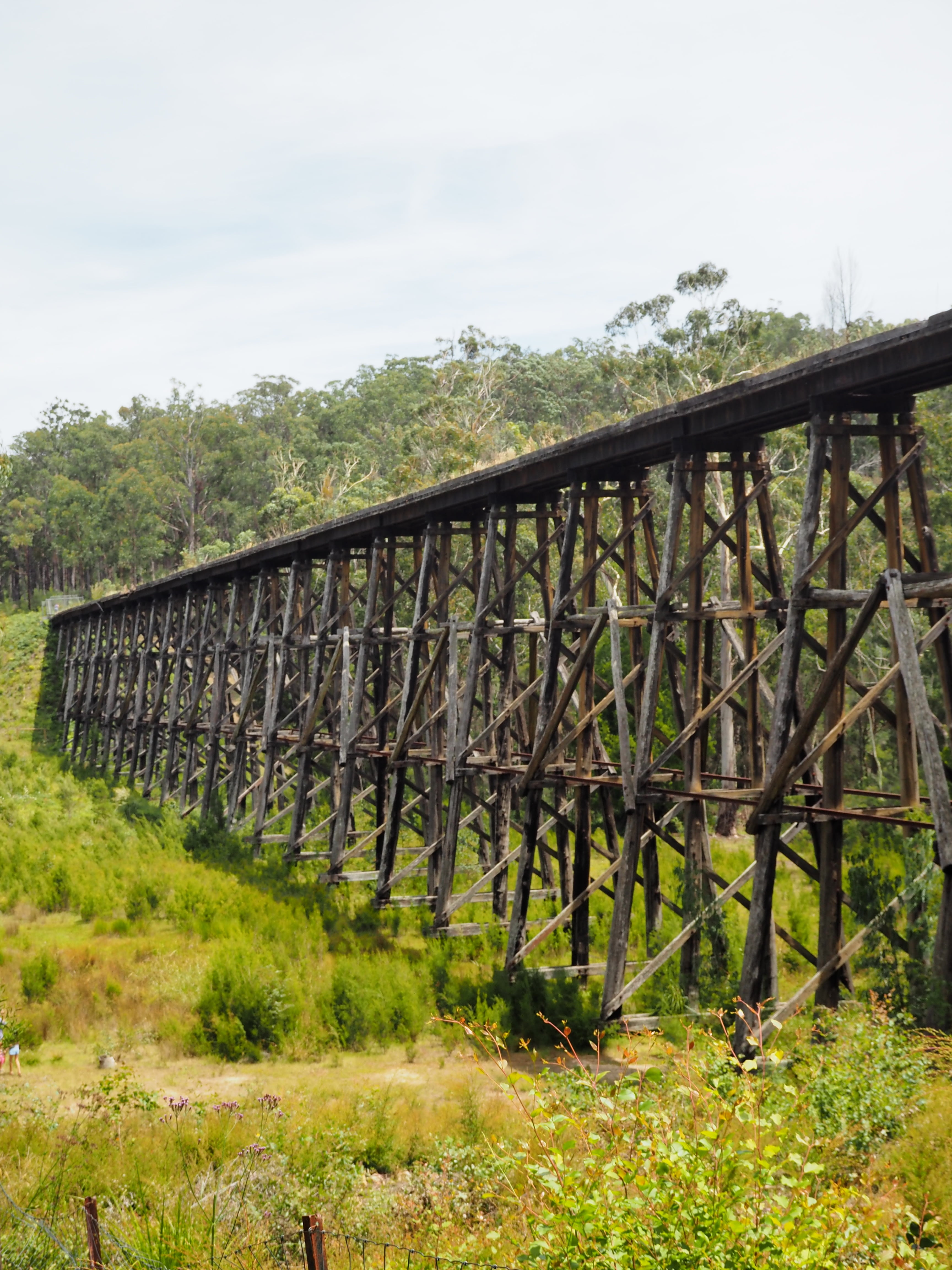 bridge, tranquil scene, plant, grass, transportation, outdoors, trestle bridge, architecture, 4K, tranquility, day, sky, stony creek trestle bridge, tree, Phone HD Wallpaper