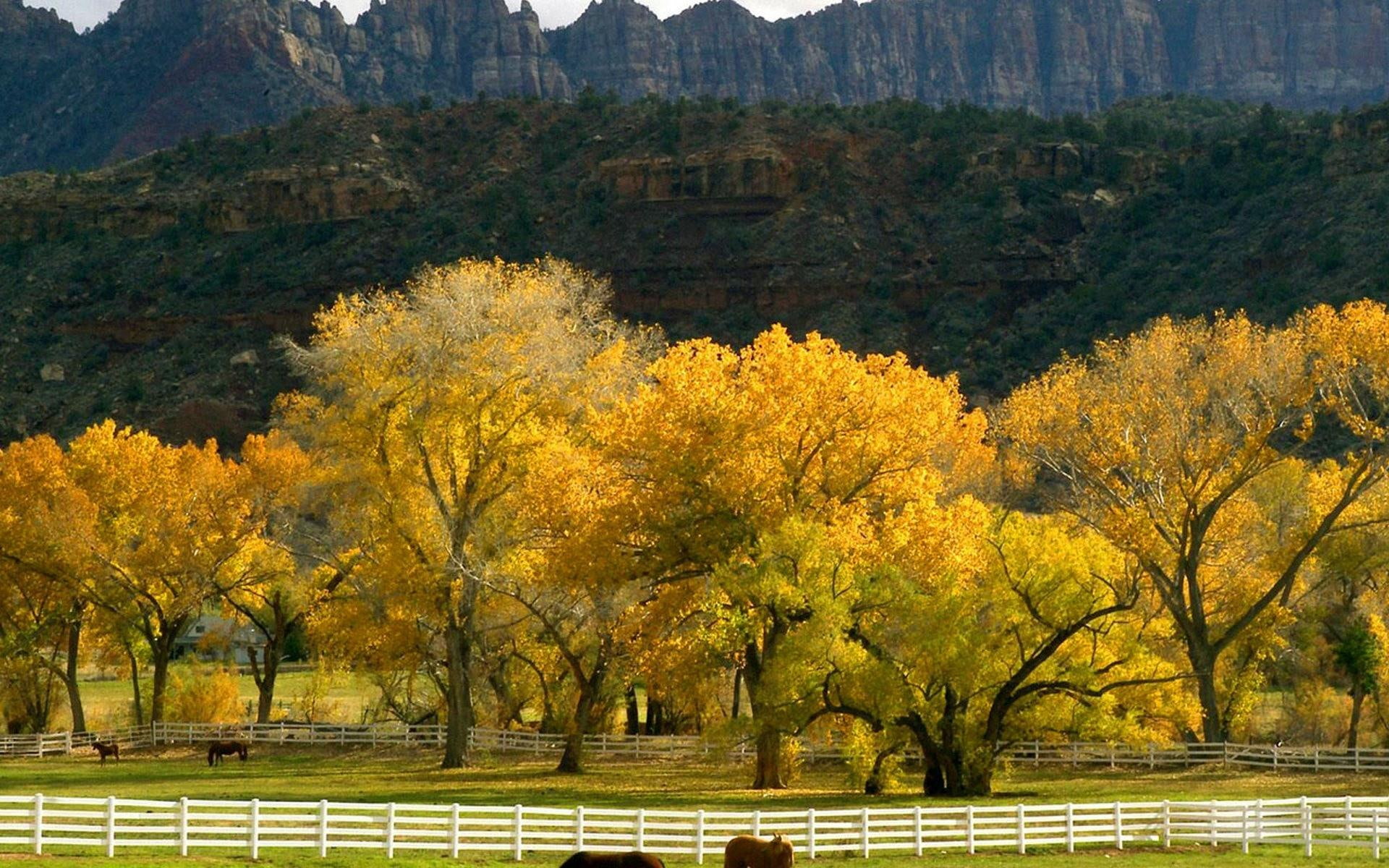 pasture, autumn, nature and landscapes, mountains, 1080P, trees, fall, mountainscape, nature, HD Wallpaper