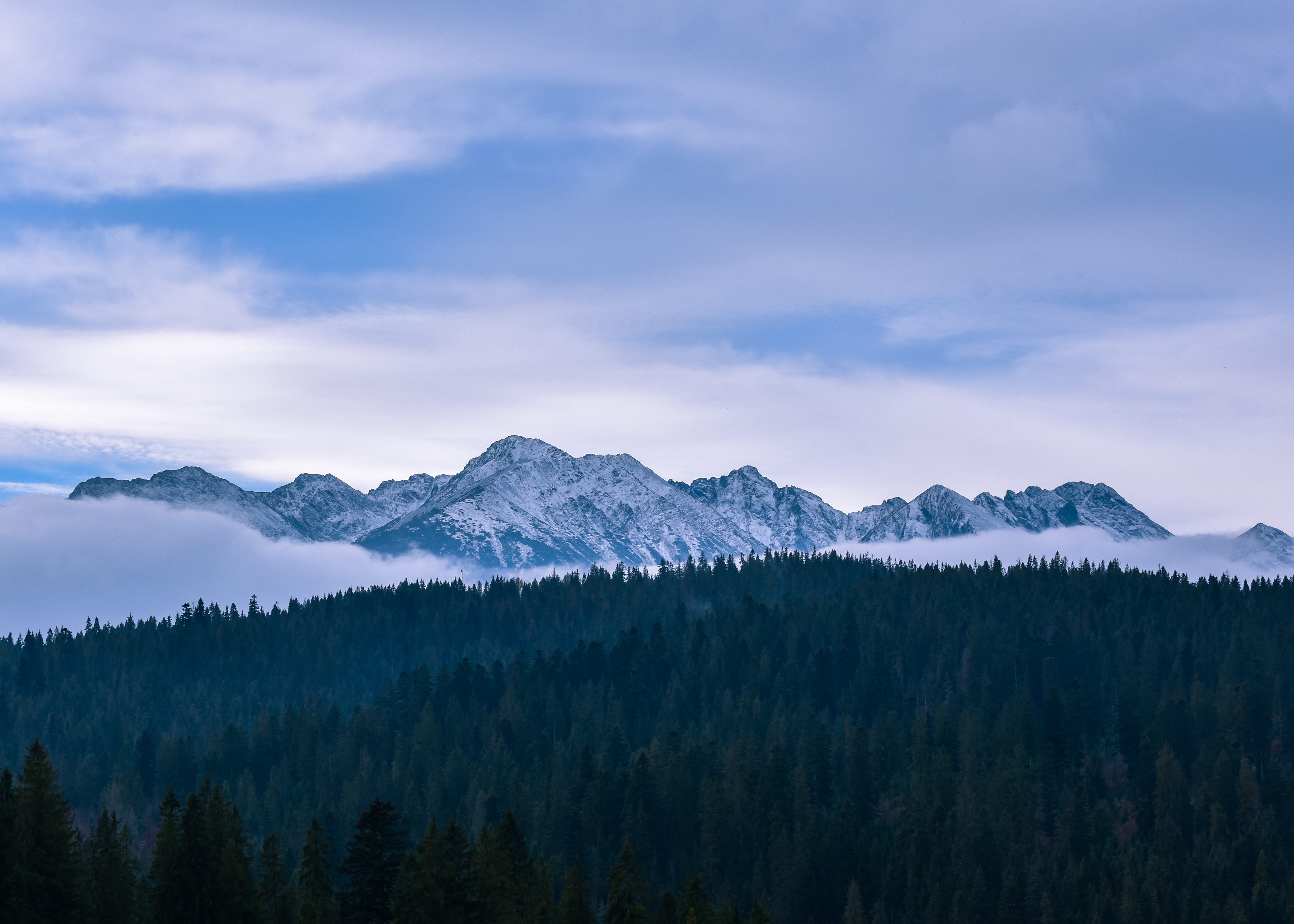 pine woodland, covered, tranquility, travel, peak, beauty in nature, blue, snow, cloud, nature, no people, mountains, wanderlust, mountain peak, fog, sky, HD Wallpaper
