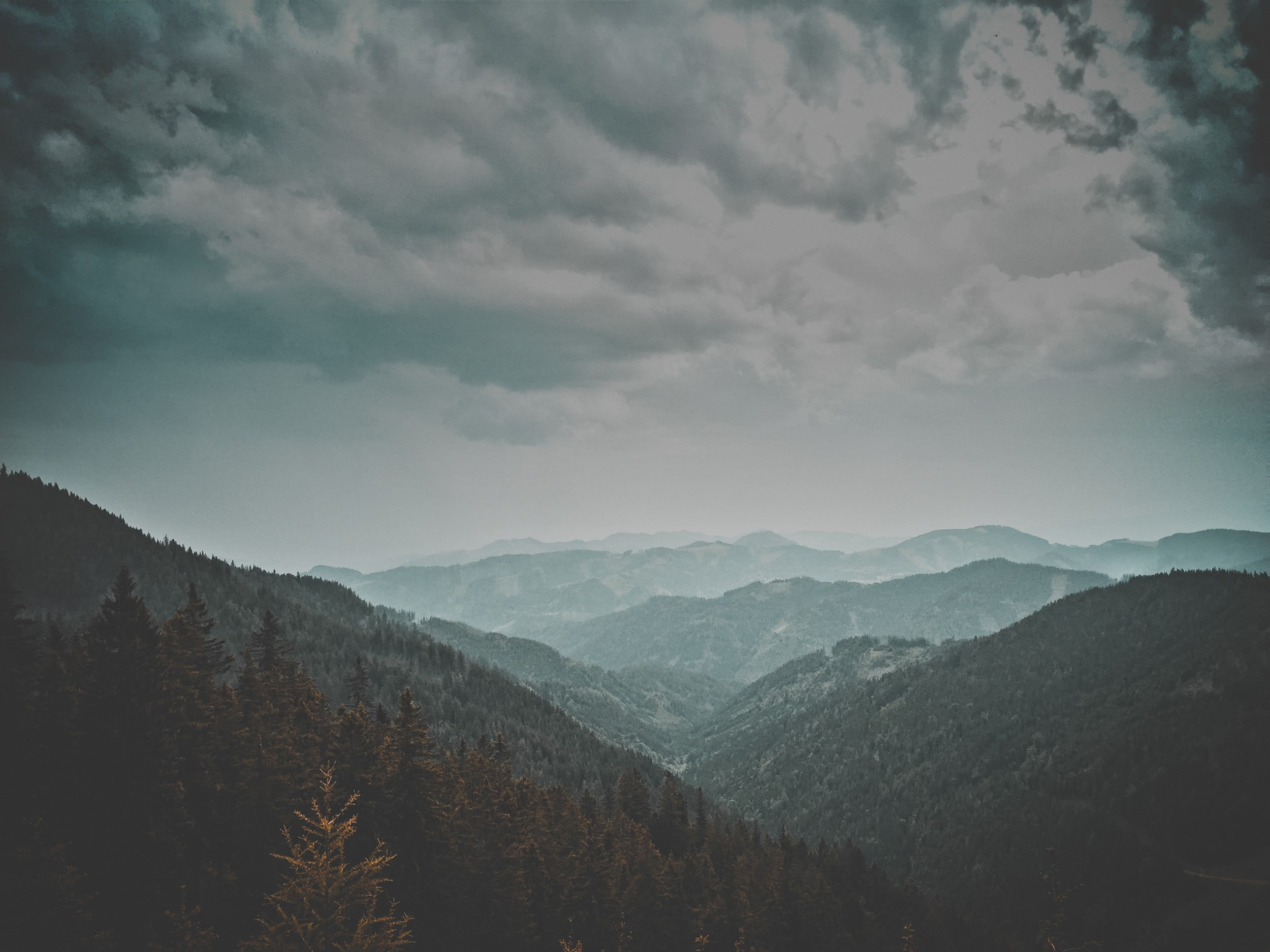 trees, forest, landscape, mountain peak, beauty in nature, mountains, foggy, land, plant, mountain range, mist, cloud - sky, photo, 1080P, tranquility, HD Wallpaper