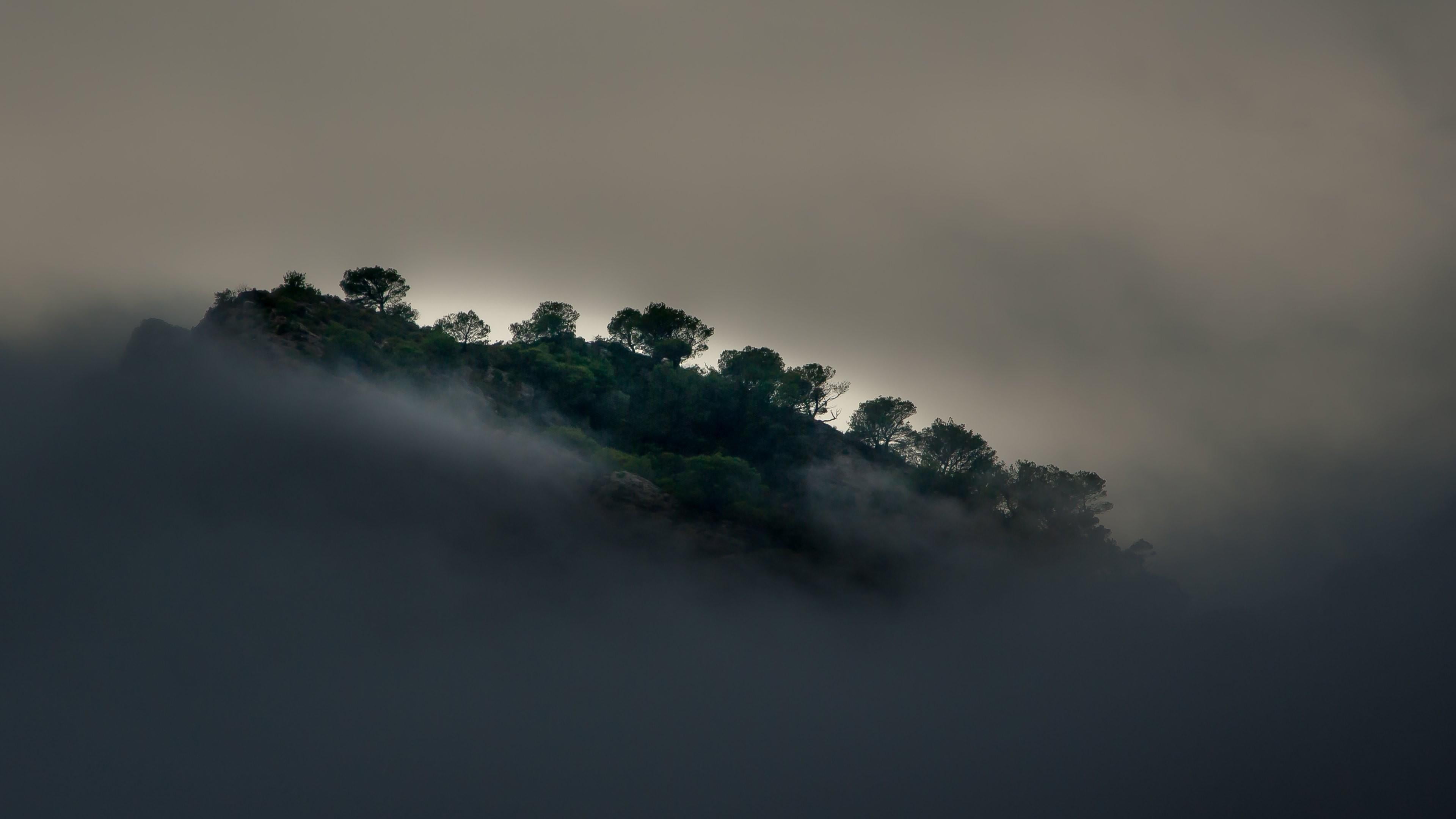 rainforest, cloudy, sky, fog, environment, 4K, scenics - nature, tranquility, mountain, non-urban scene, outdoors, tranquil scene, peak, misty, foliage, HD Wallpaper