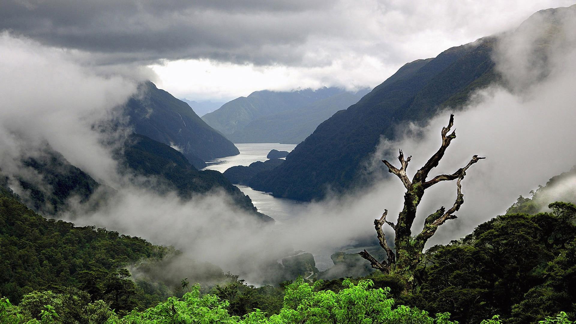 nature, valley, 1080P, landscape, 3d and abstract, misty, fog, mountains, scenery, mountain, HD Wallpaper