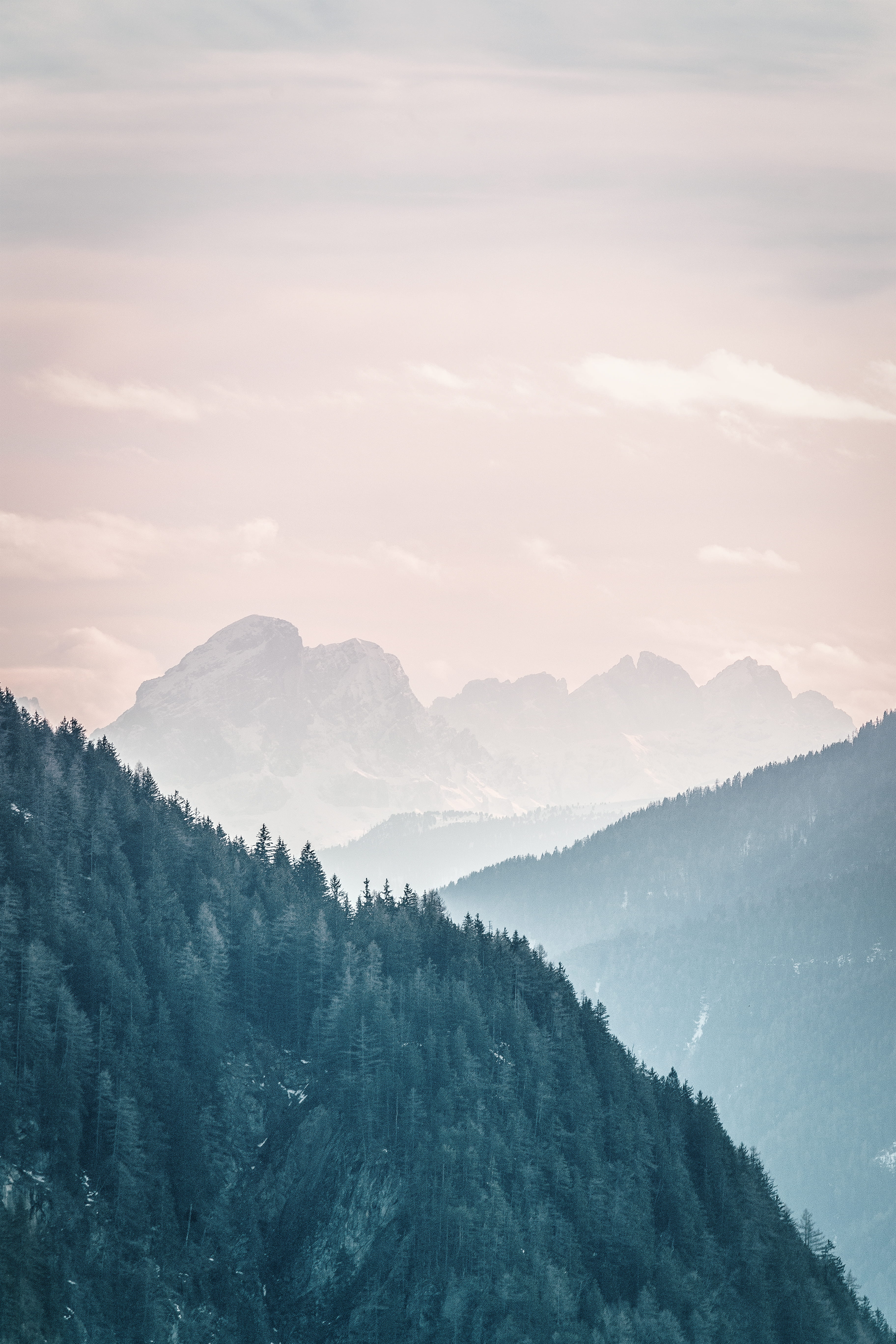 desktop, non-urban scene, plant, fog, nature, landscape, sky, mist, coniferous tree, green, foggy, tranquility, Phone HD Wallpaper