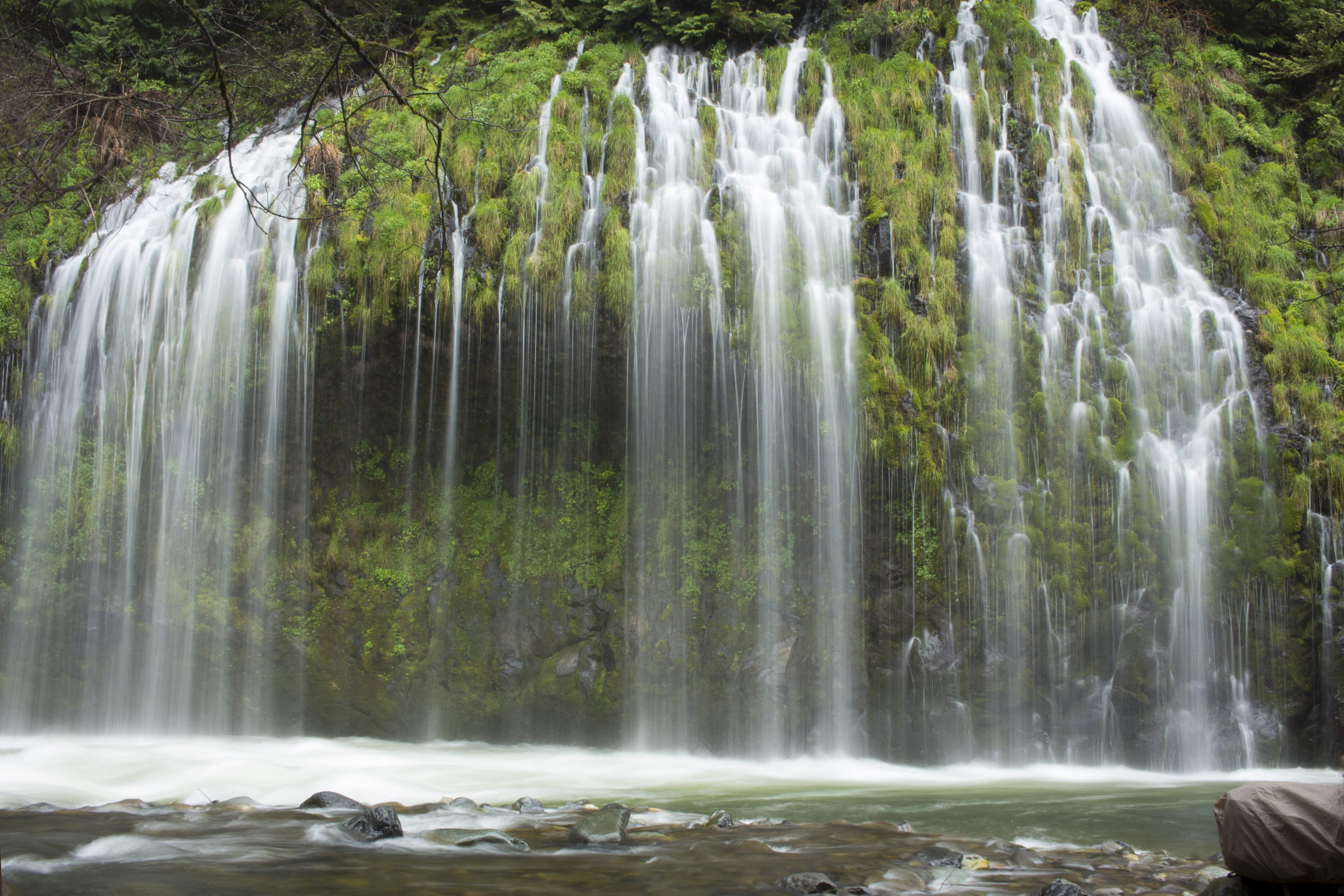 lost, waterfall, shasta, rainforest, plant, rock - object, water, environment, no people, long exposure, falling water, nature, power in nature, beauty in nature, HD Wallpaper