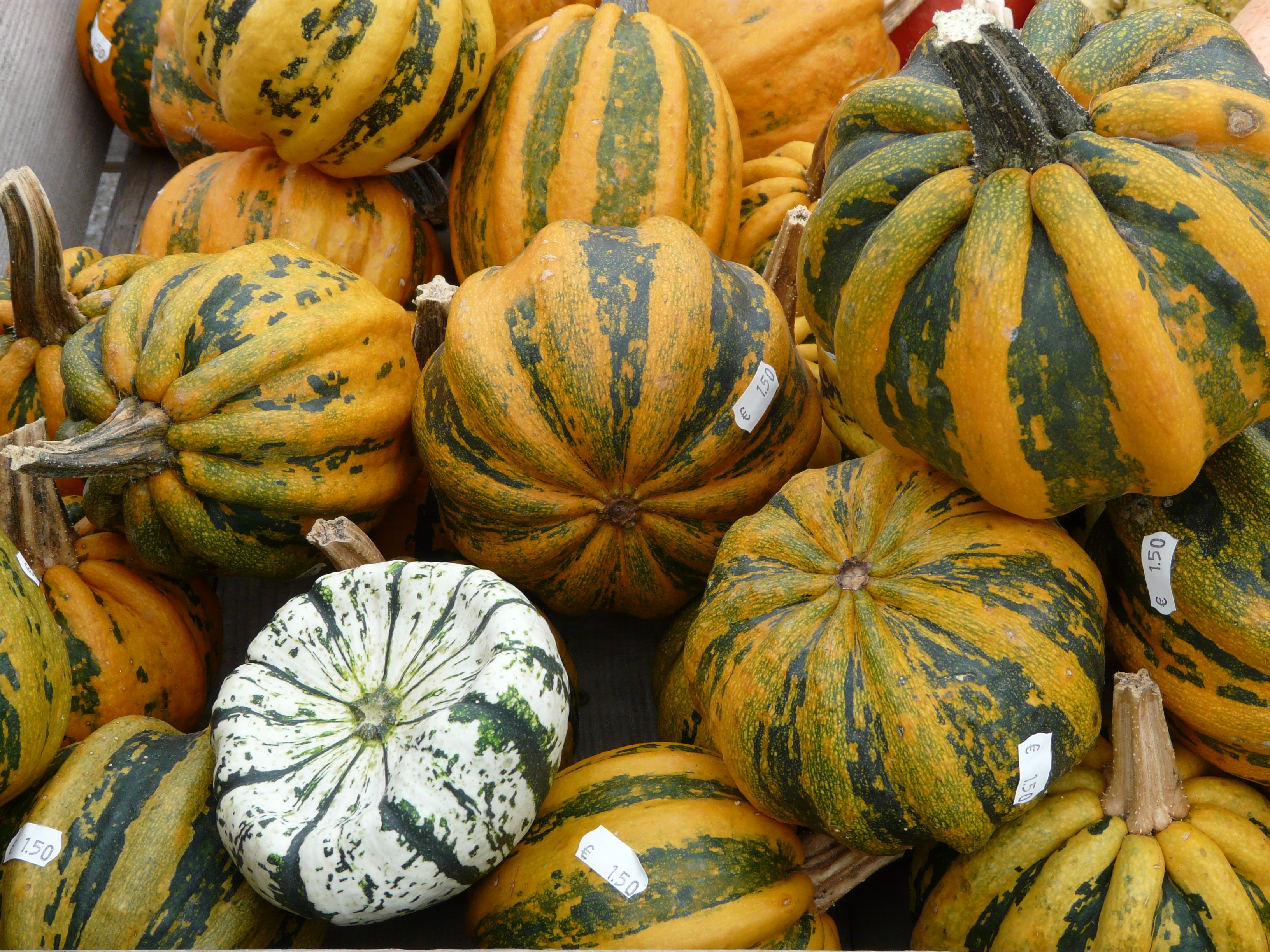 white, for sale, food, ripe, freshness, sale, pumpkin varieties, market, wellbeing, giant pumpkins, abundance, healthy eating, retail, food and drink, vegetables, HD Wallpaper