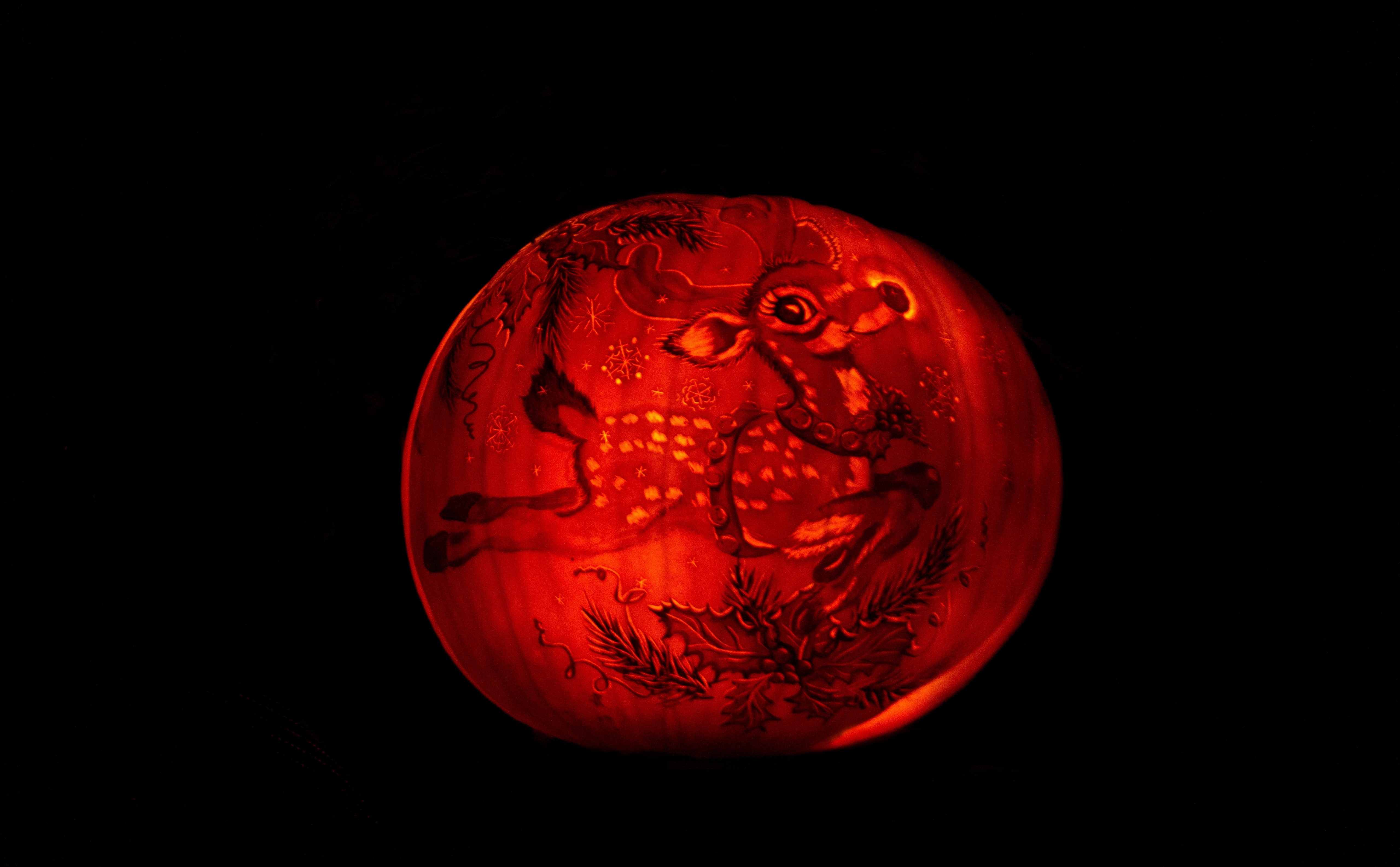 pumpkin, close-up, cute, sphere, jackolanterns, Holidays, black background, 5K, copy space, still life, circle, single object, carving, no people, science, HD Wallpaper