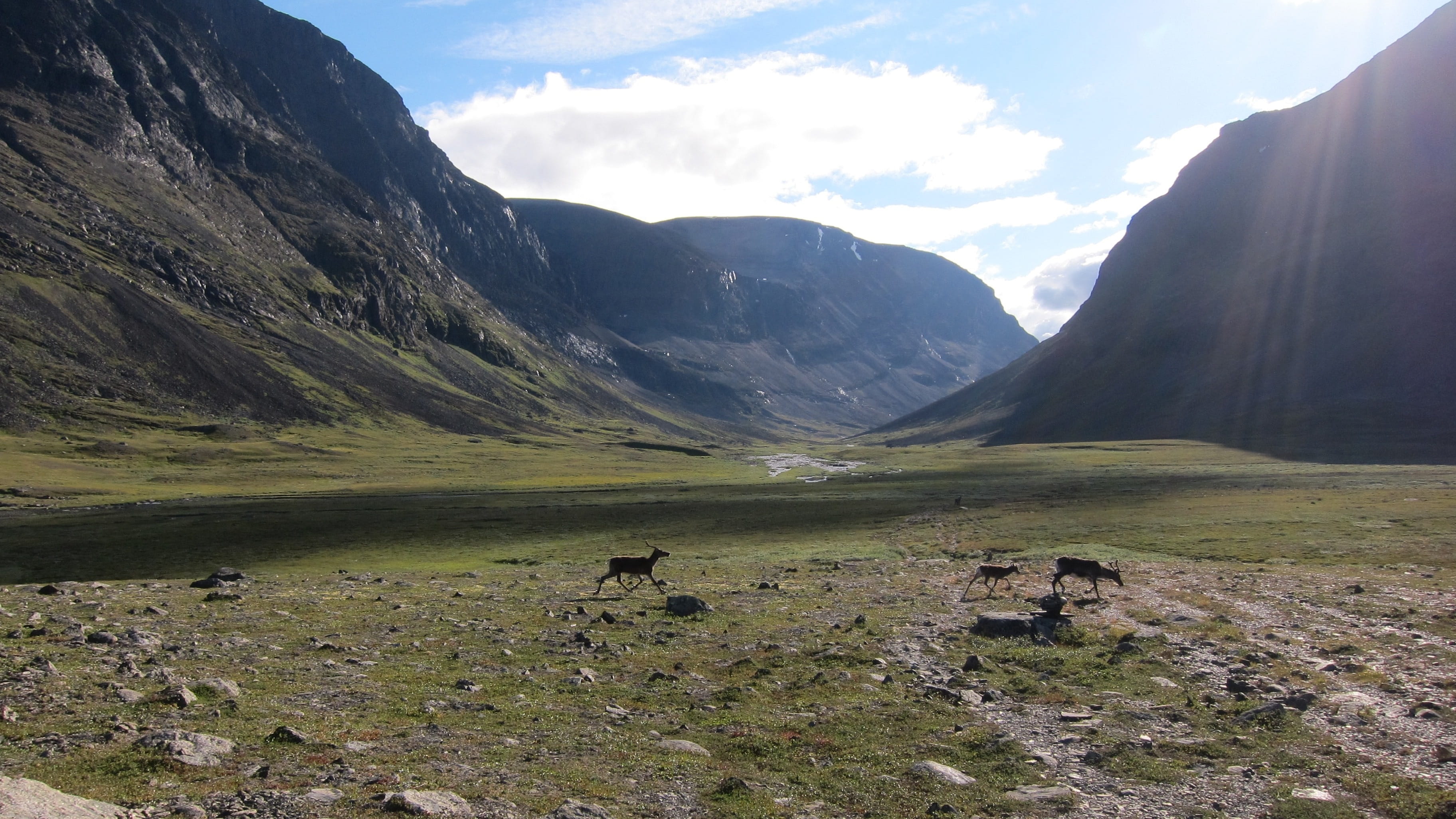 nordic, reindeer, Landscape, day, non-urban scene, sky, panoramic, remote, mountain range, outdoors, environment, lapland, scandinavia, rock, beauty in nature, HD Wallpaper