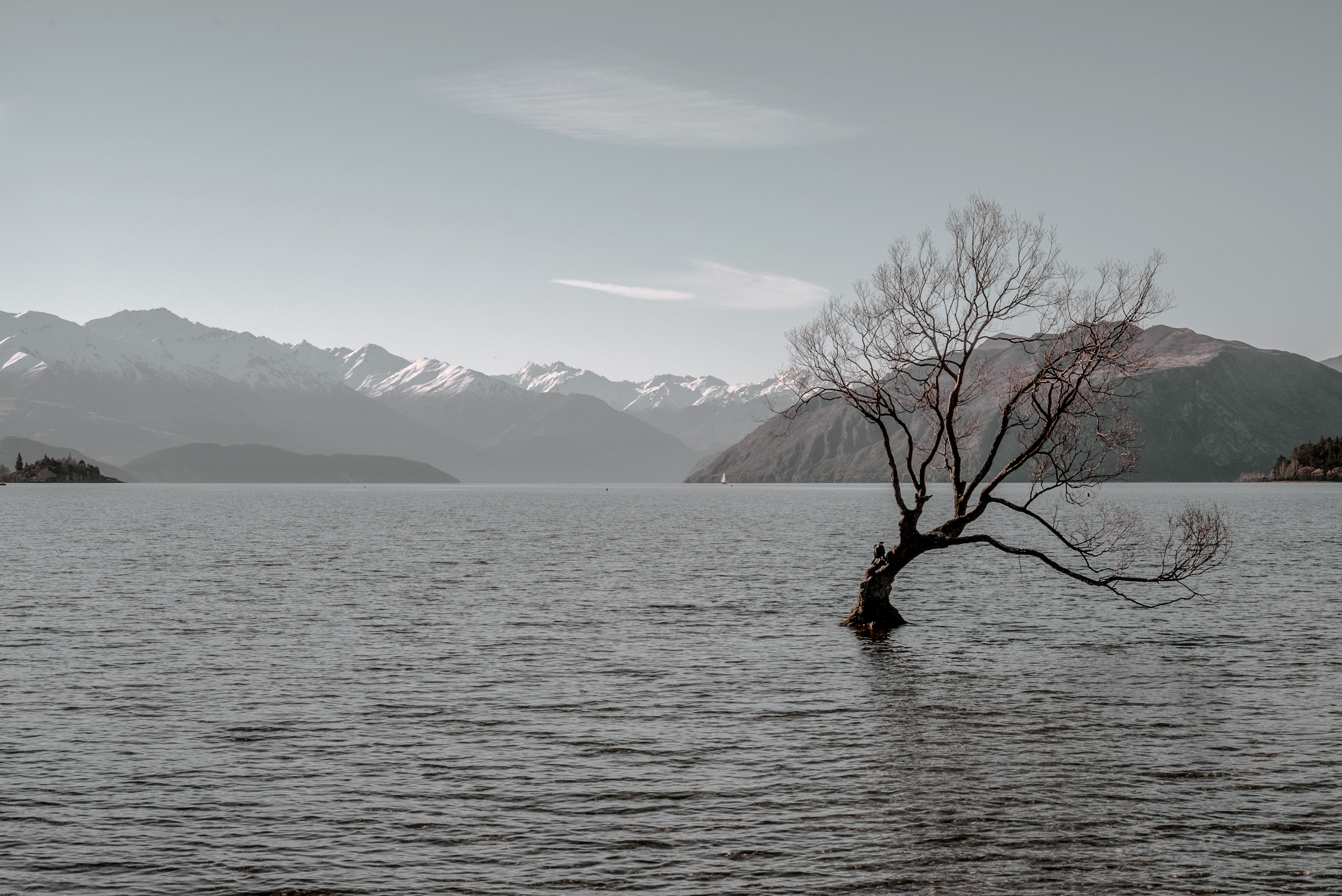 sky, lake, day, scenics - nature, background, view, tranquil scene, winter, scenic, new zealand, tree, mother nature, lone, beauty in nature, mountains, HD Wallpaper