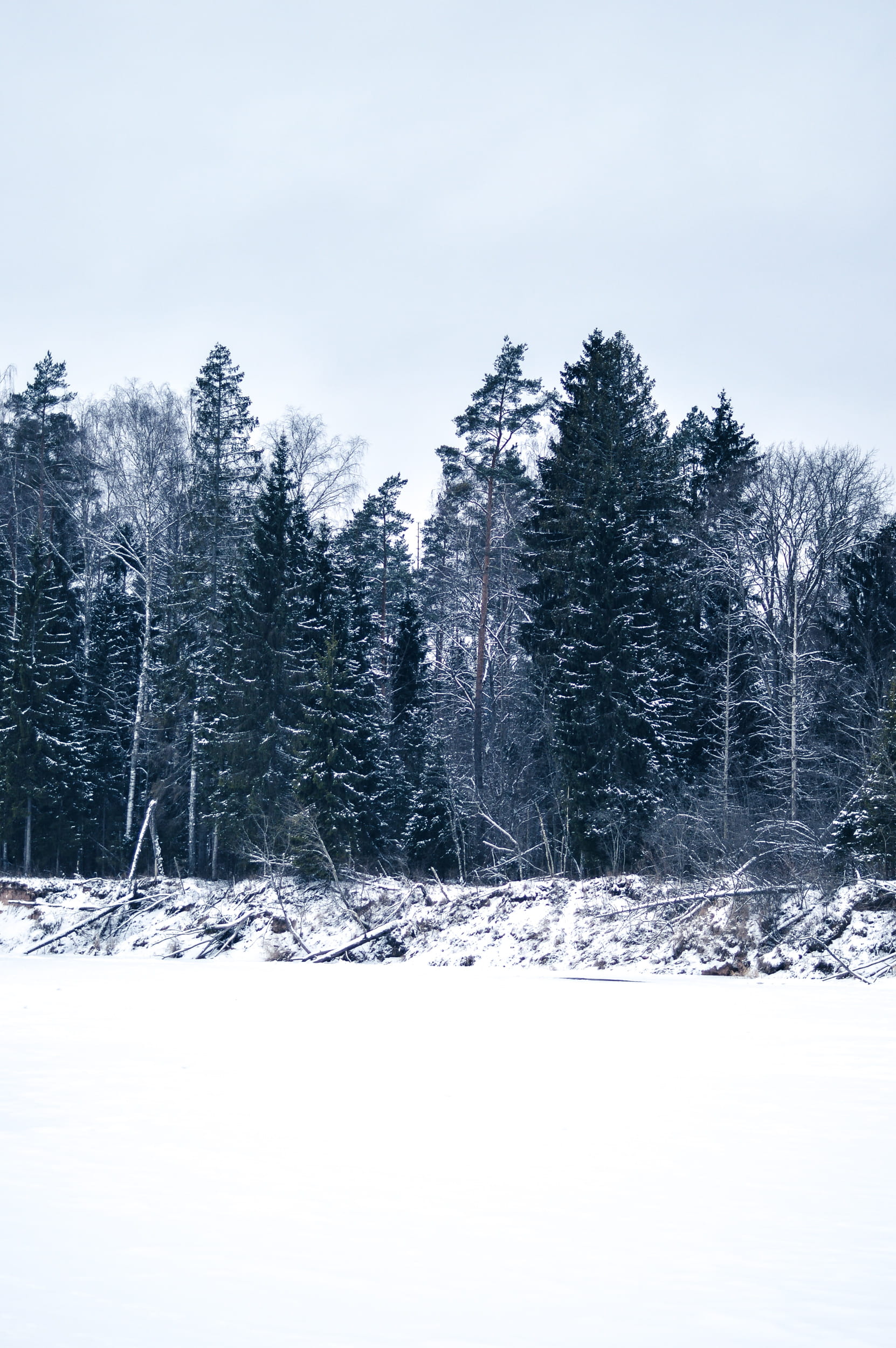 coniferous tree, sky, tranquil scene, snow, white color, outdoors, scenics - nature, nature, field, water, cold temperature, cēsis, white, trees, tranquility, Phone HD Wallpaper